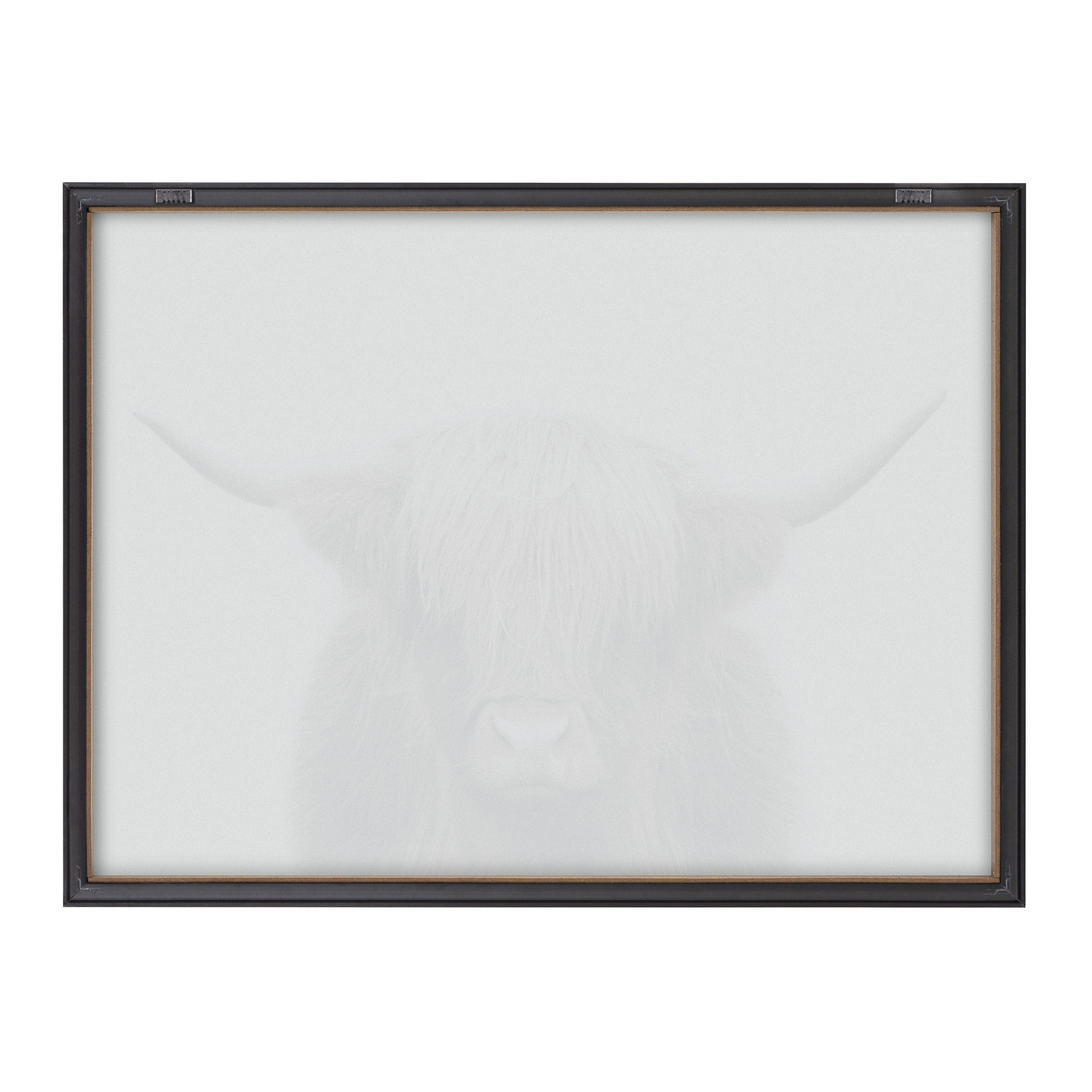 Blake Hey Dude Highland Cow Color Framed Printed Art by The Creative Bunch Studio