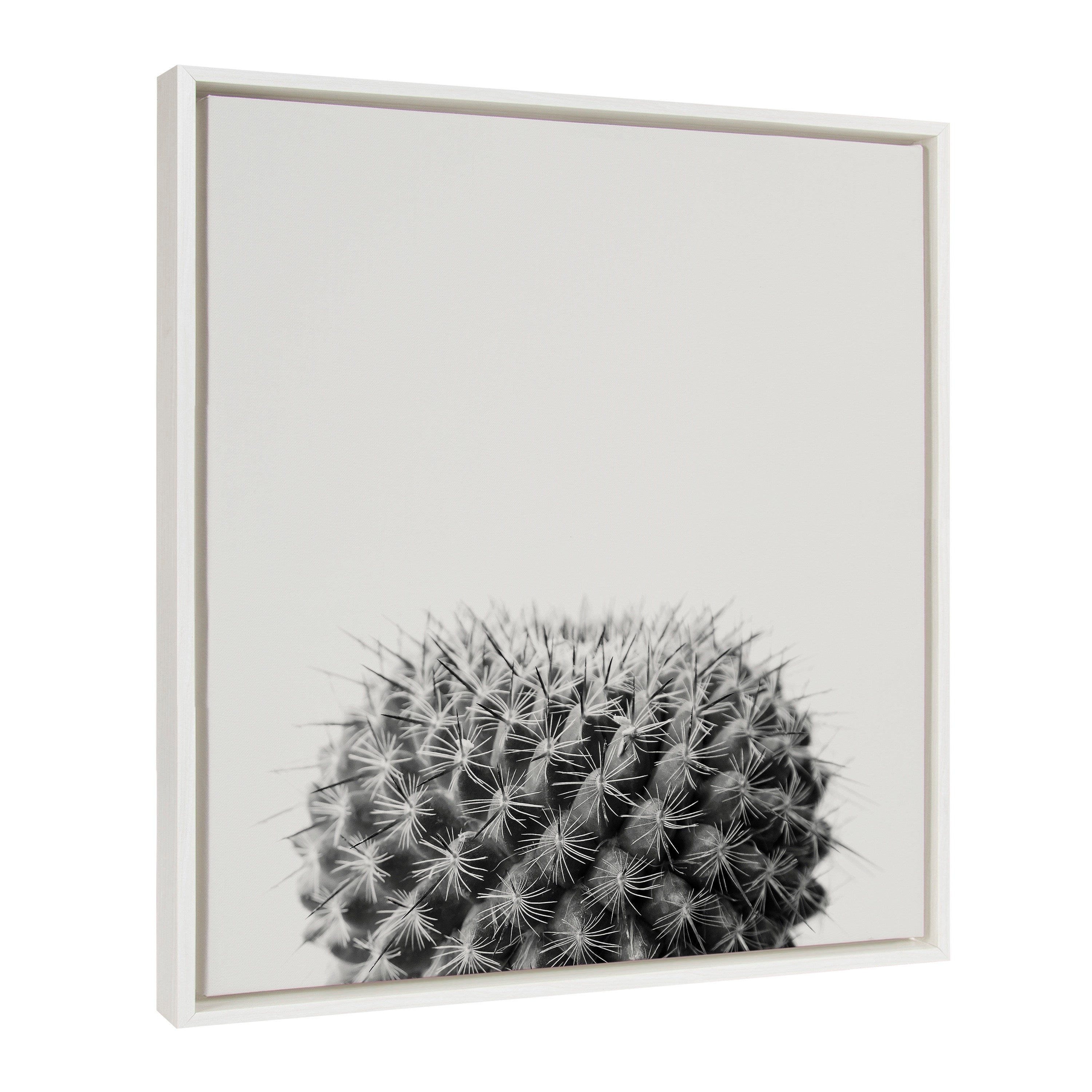 Sylvie Haze Succulent Cactus Short Framed Canvas by The Creative Bunch Studio