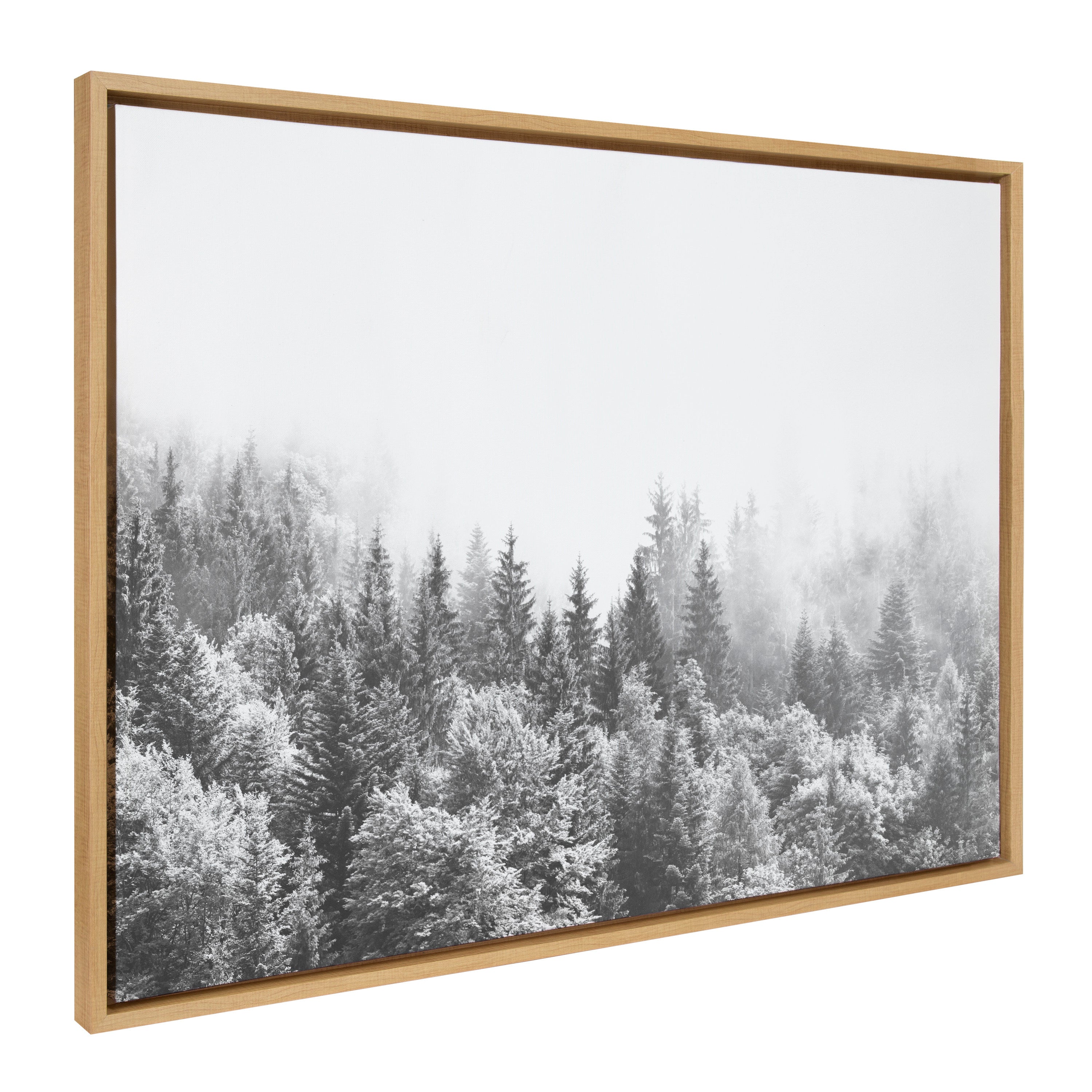 Sylvie Forest On A Foggy Day BW Framed Canvas by The Creative Bunch Studio