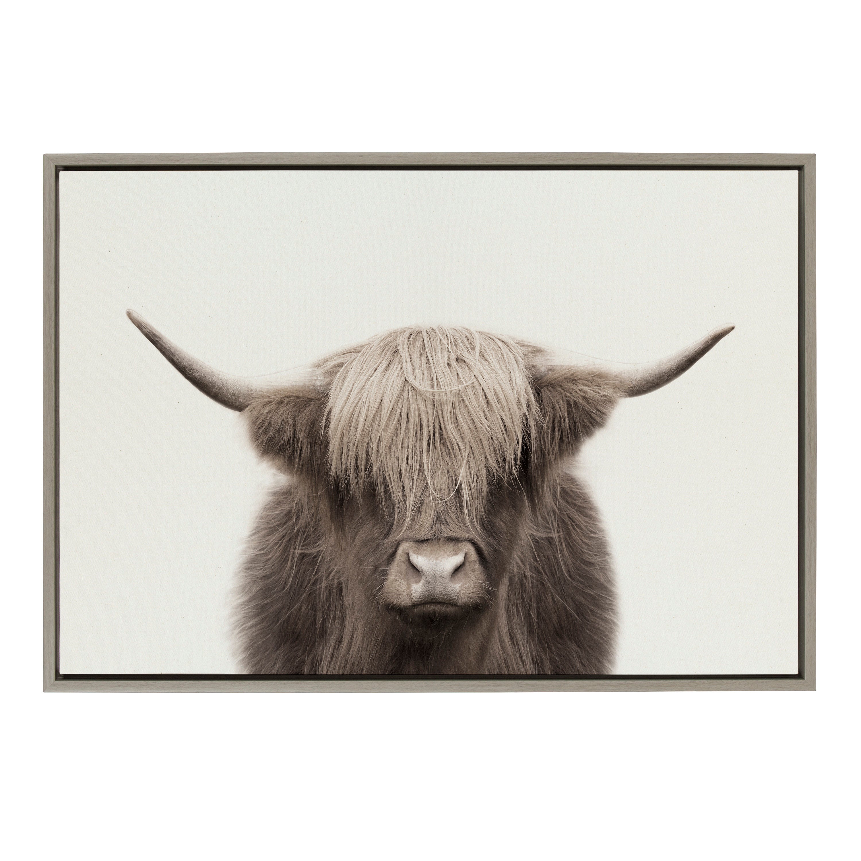 Sylvie Hey Dude Highland Cow Color Framed Canvas by The Creative Bunch Studio
