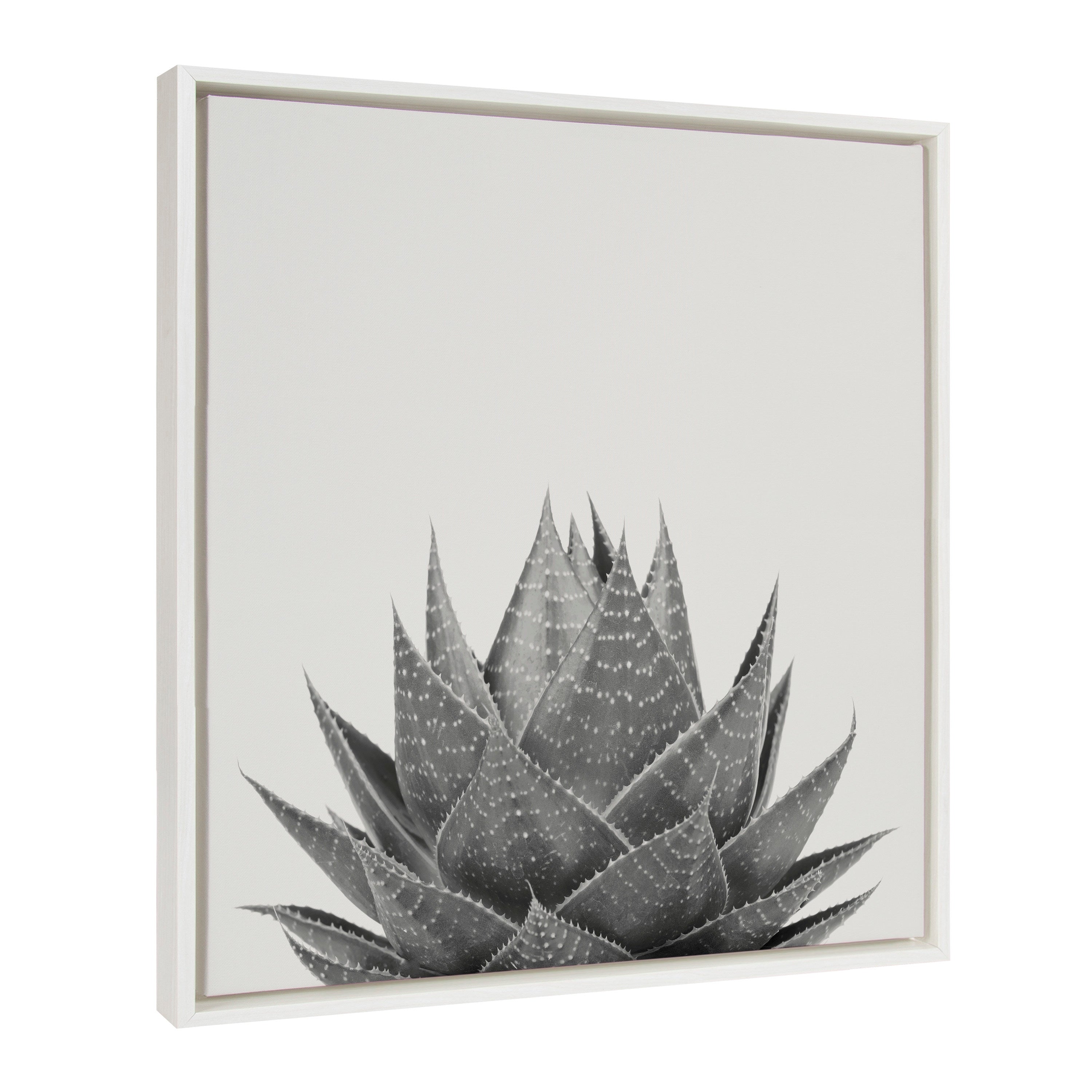 Sylvie Haze Aloe Succulent Framed Canvas by The Creative Bunch Studio
