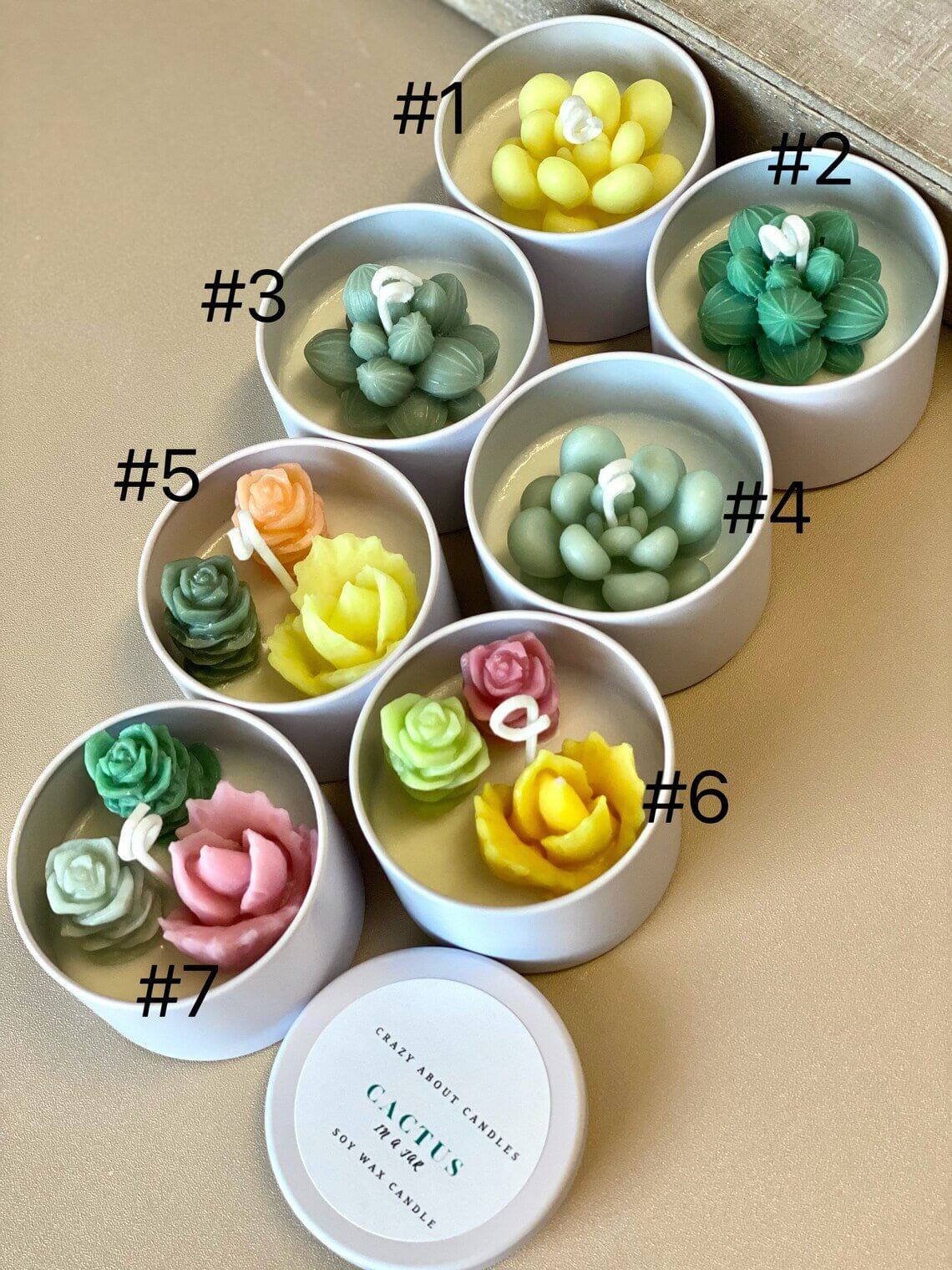 Cactus Jar Candle | Handmade Aroma Bliss