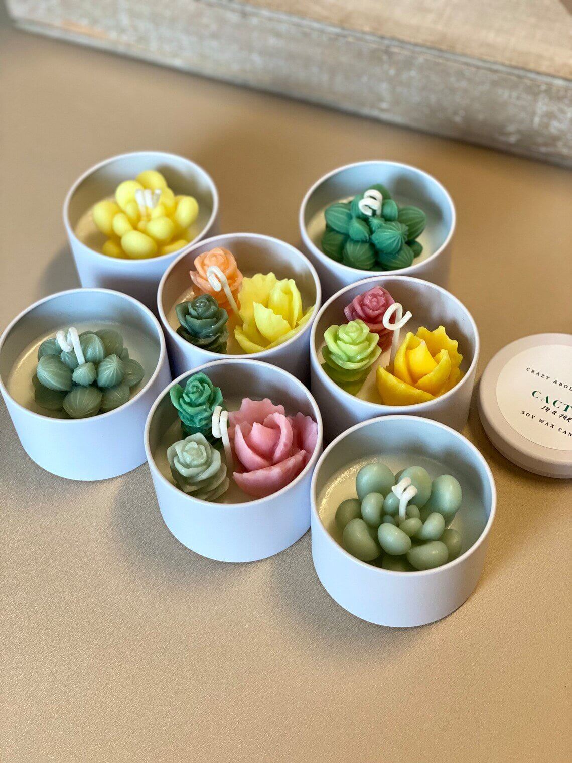 Cactus Jar Candle | Handmade Aroma Bliss