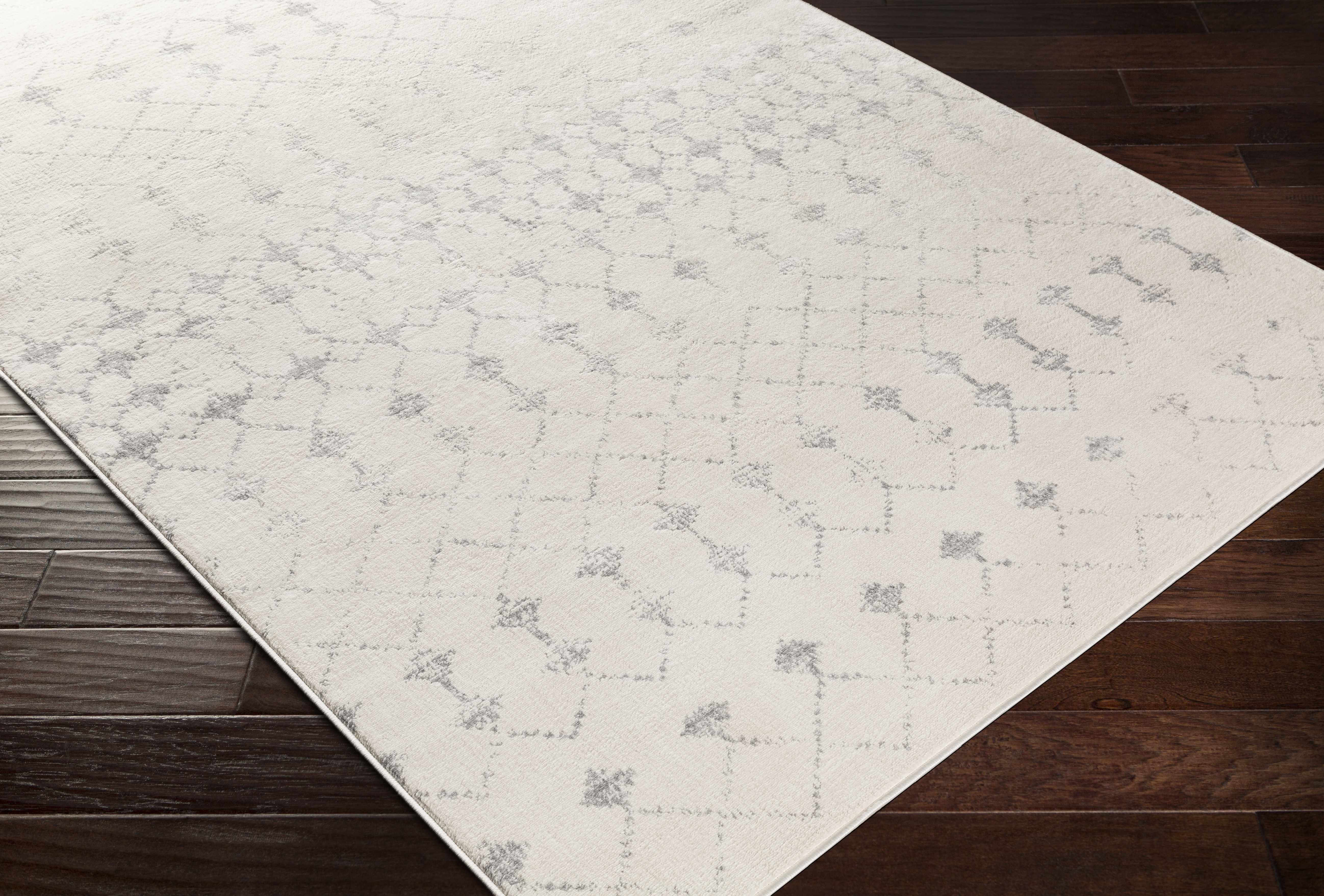 Capac Area Rug - Clearance - PRHOMZ