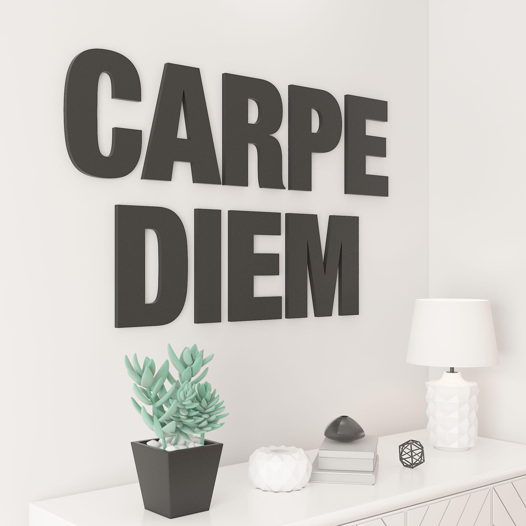 Carpe Diem - 3D Office Wall Decor - PRHOMZ