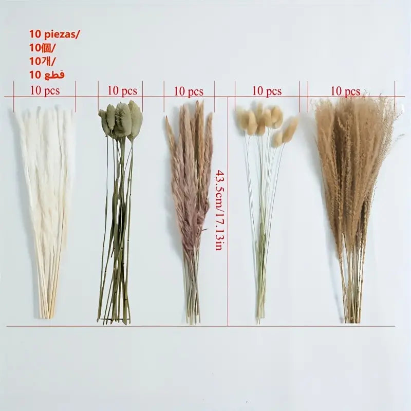 Real Touch Dried Flower Set - 50pcs Artificial Rabbit Tail Reed Set (90cm)-3