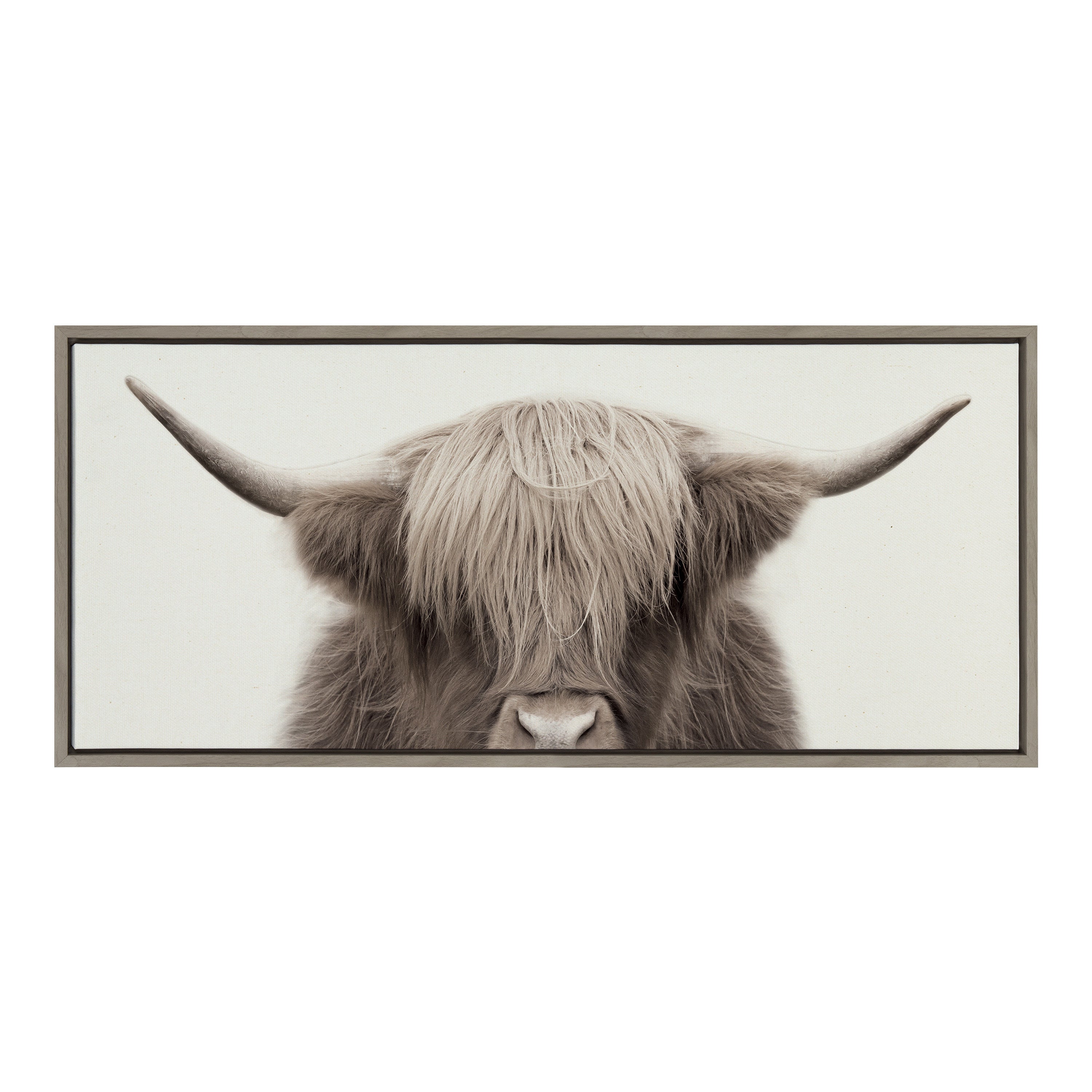 Sylvie Hey Dude Highland Cow Color Framed Canvas by The Creative Bunch Studio