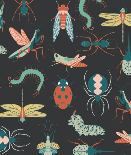 Flick Wallpaper by Kristie Vargo