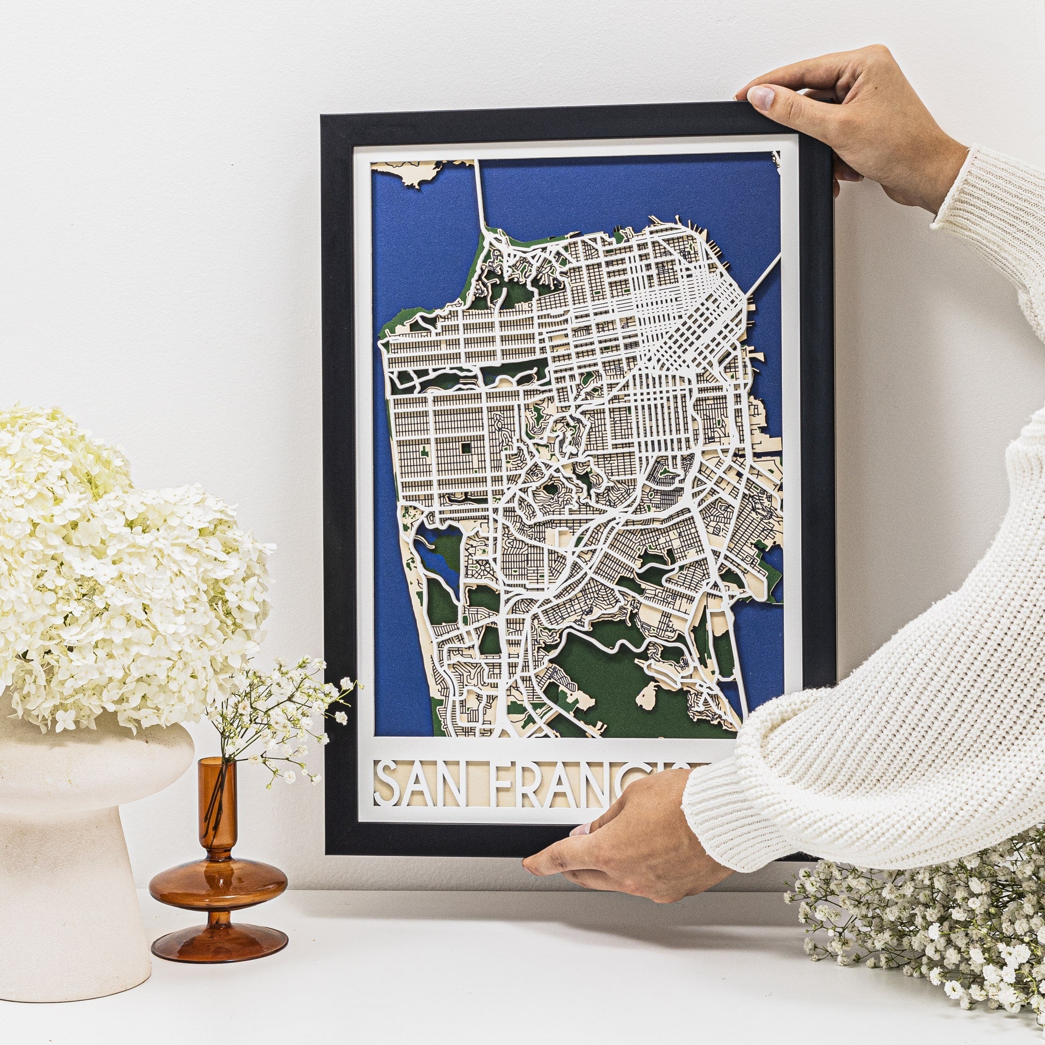 3D City Map San Francisco