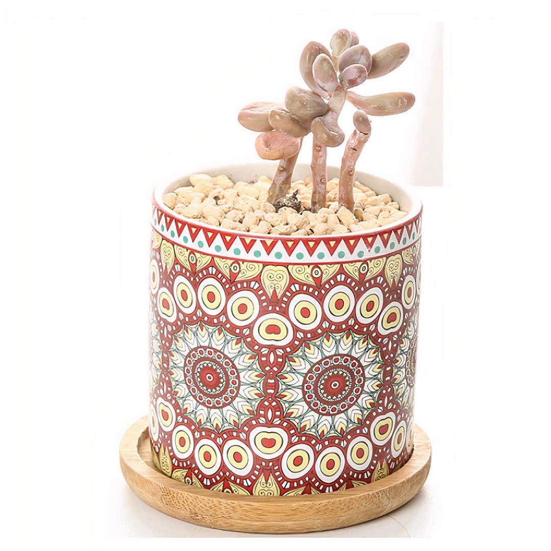 Mandala Planter Set of 4 – Artistic & Vibrant Plant Display - PRHOMZ