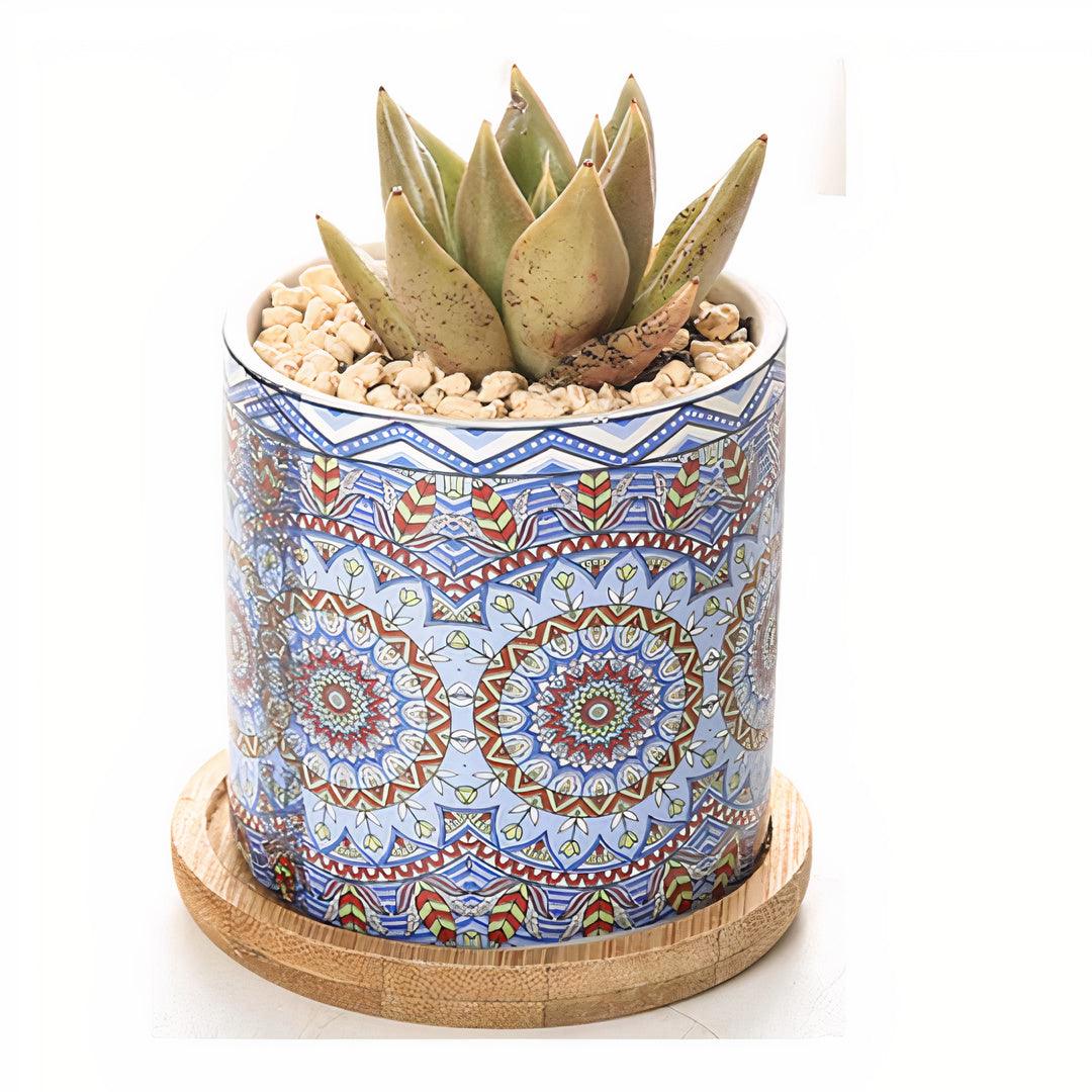 Mandala Planter Set of 4 – Artistic & Vibrant Plant Display - PRHOMZ