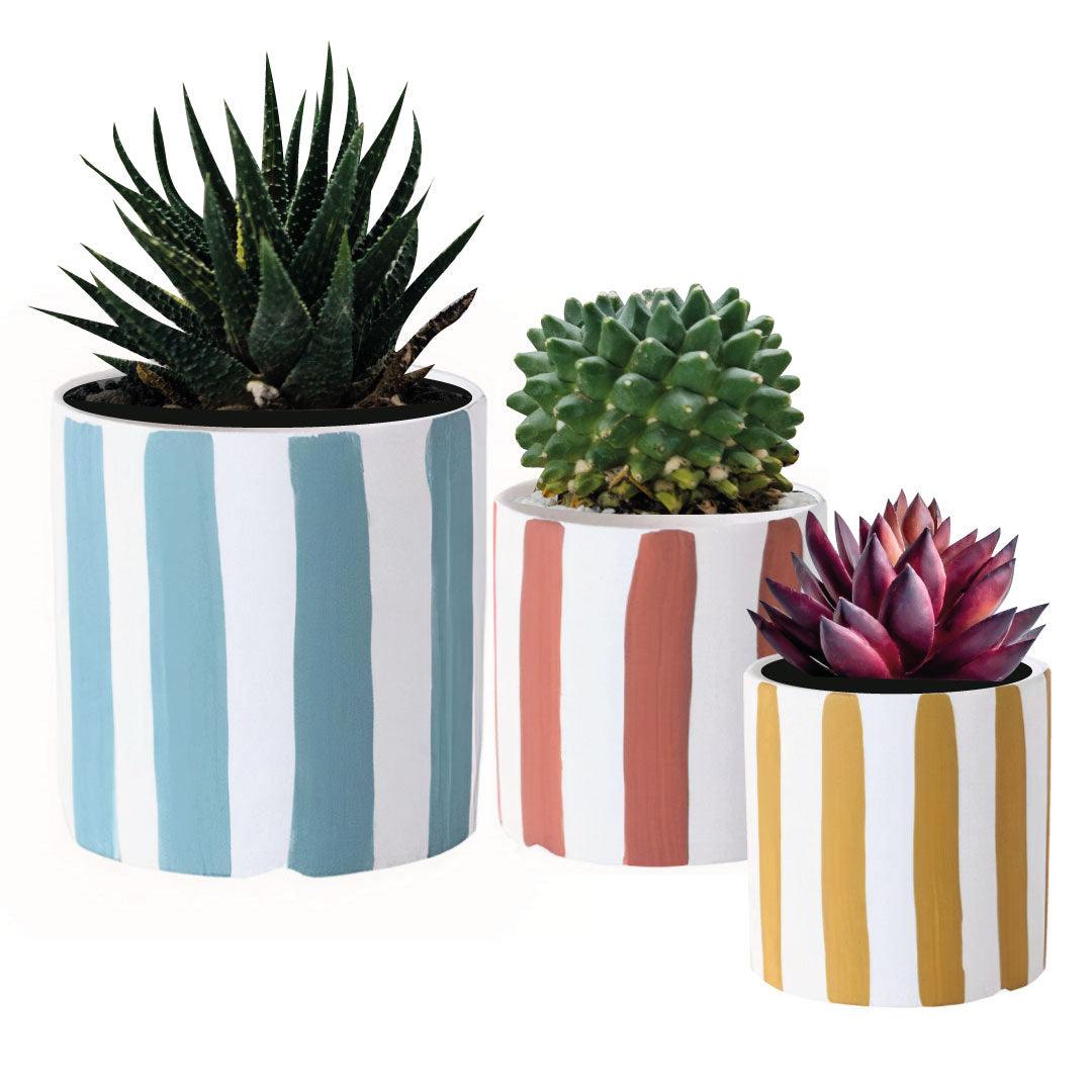 Playful Planters Set of 3 - PRHOMZ