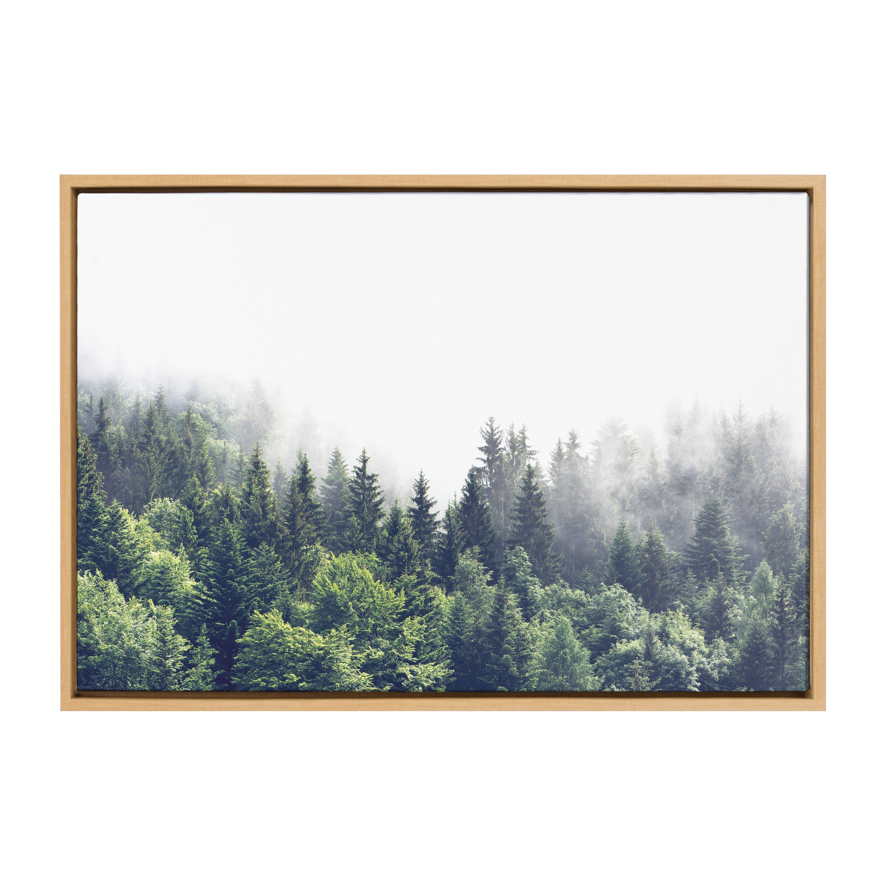 Sylvie Lush Green Forest On A Foggy Day Framed Canvas by The Creative Bunch Studio
