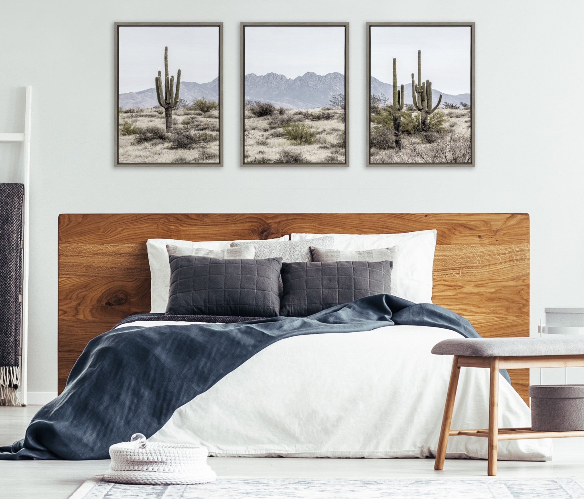 Sylvie Tall Saguaro Cacti Desert Mountain Left, Middle and Right Framed Canvas by The Creative Bunch Studio