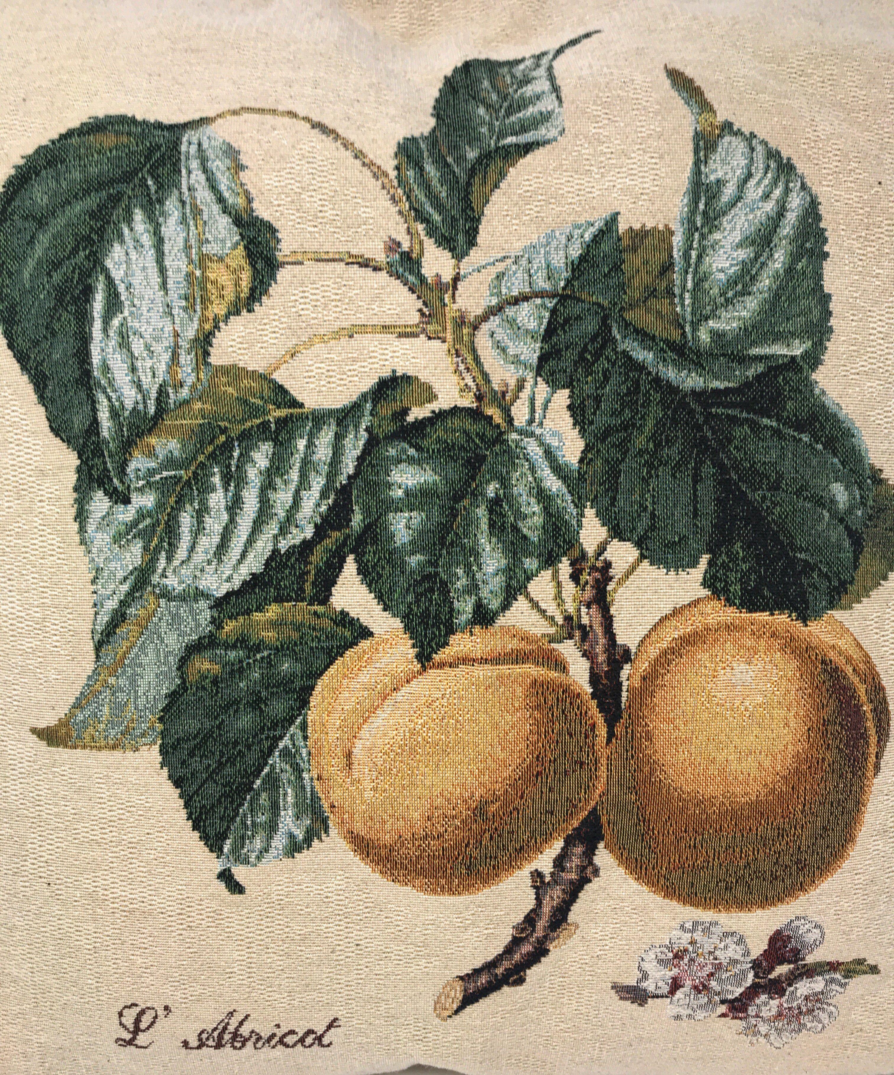 DaDa Bedding Apricot Fruit Elegant Accent Throw Pillow Cushion Cover - 1-Piece - 18"