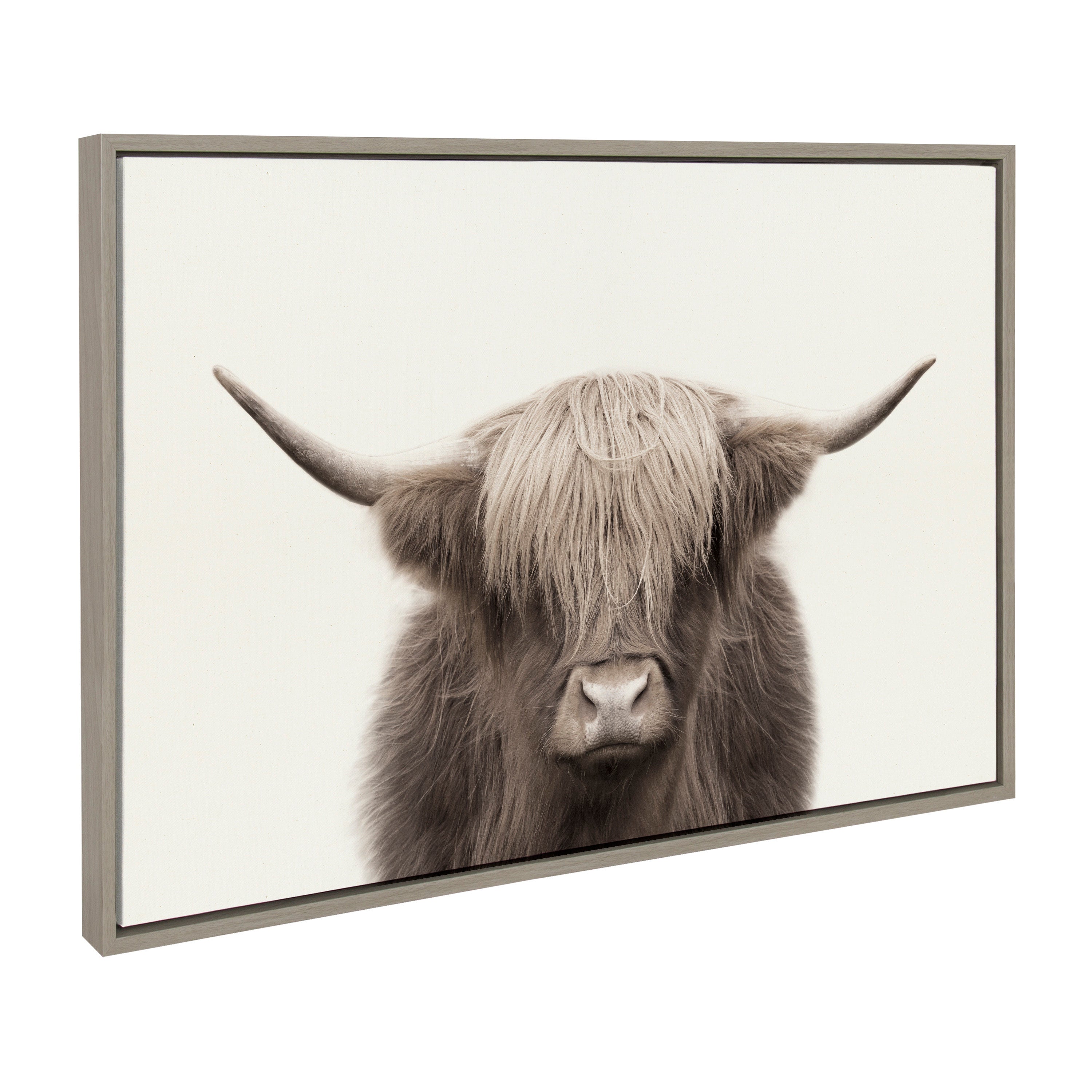 Sylvie Hey Dude Highland Cow Color Framed Canvas by The Creative Bunch Studio