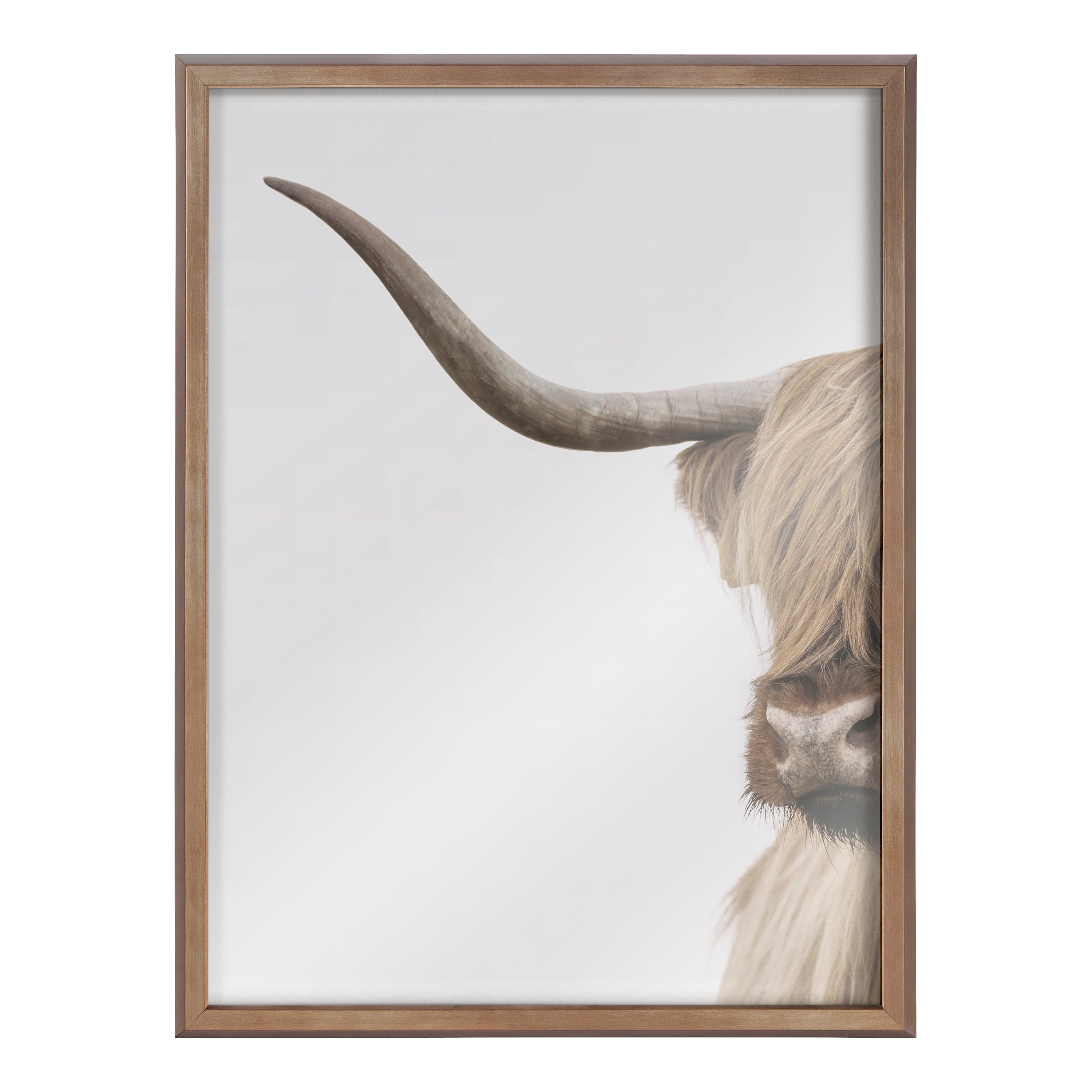 Blake Highland Cow Portrait Close Crop Vertical Framed Printed Glass by The Creative Bunch Studio