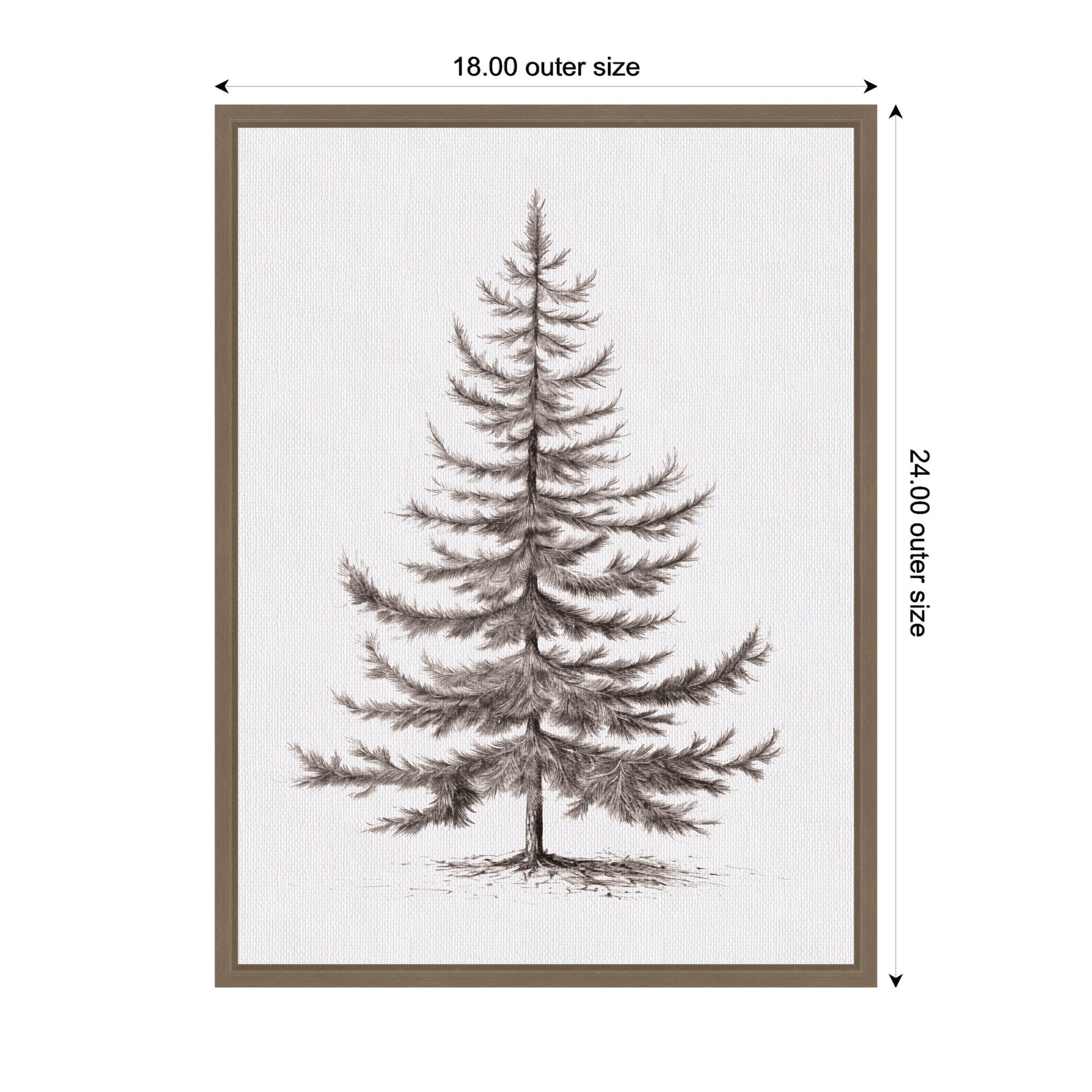 Sylvie Framed Canvas Vintage Evergreen Fir Tree lllustration II by The Creative Bunch Studio