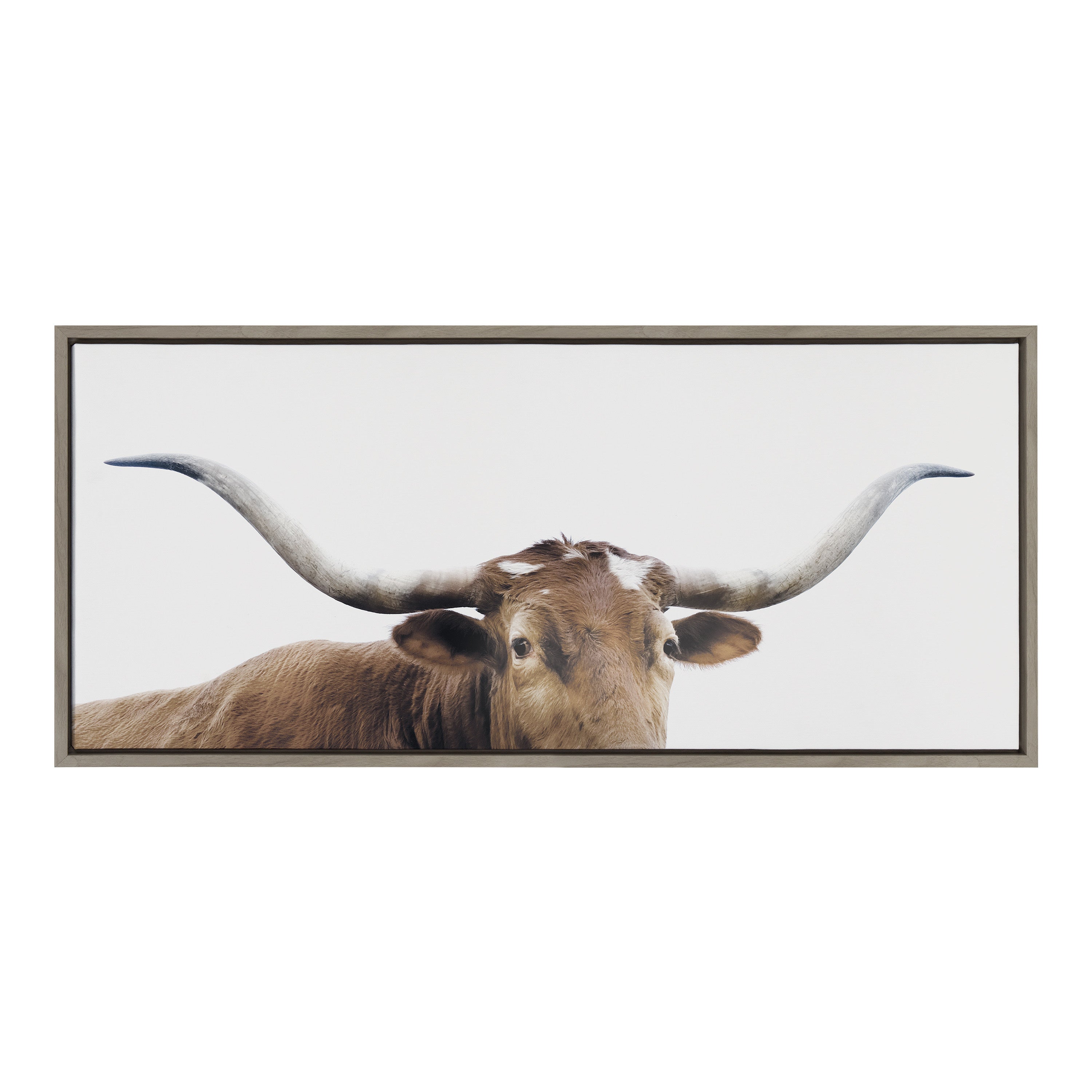 Sylvie Texas Longhorn Framed Canvas by The Creative Bunch Studio