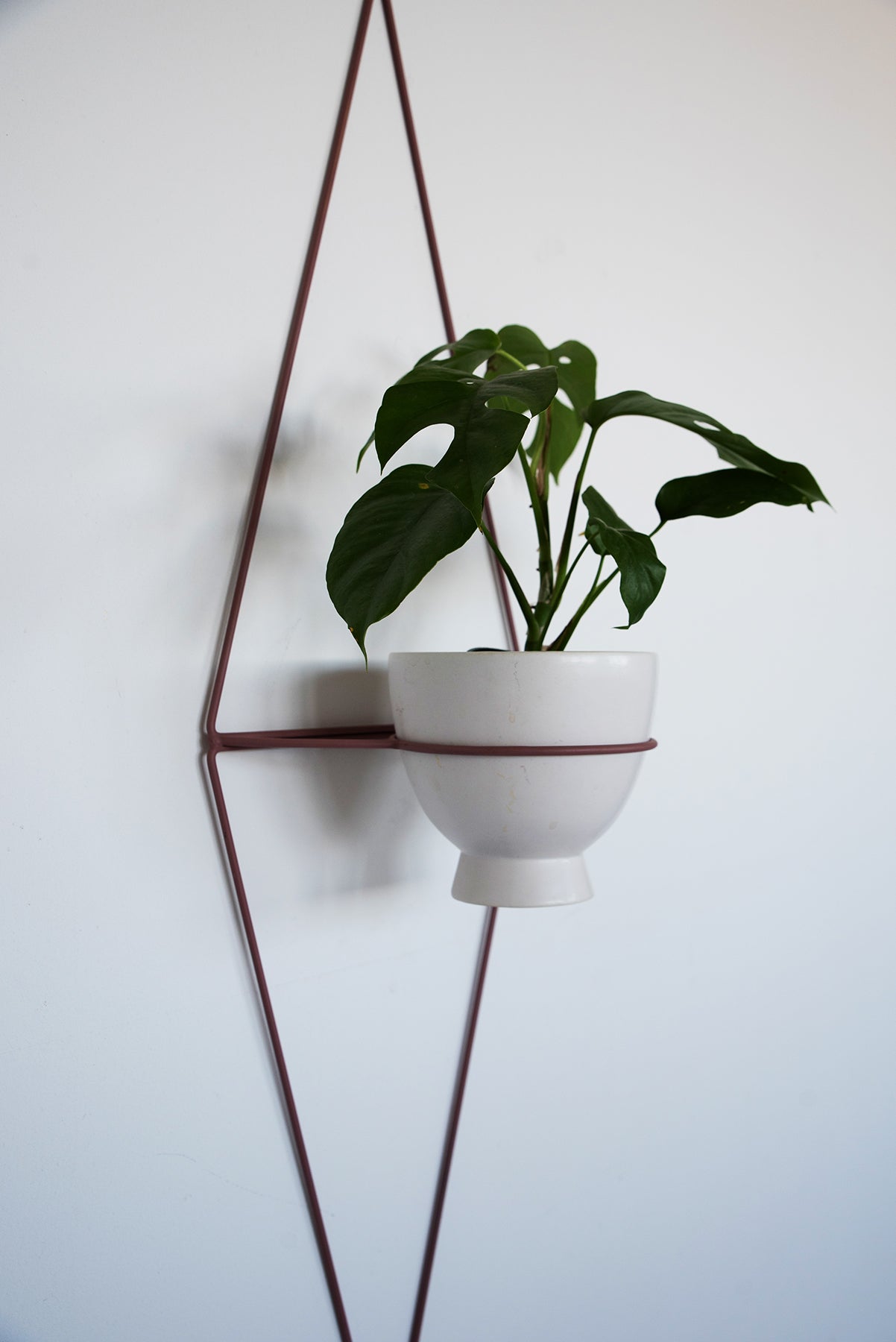 Diamond Eye Wall Planter