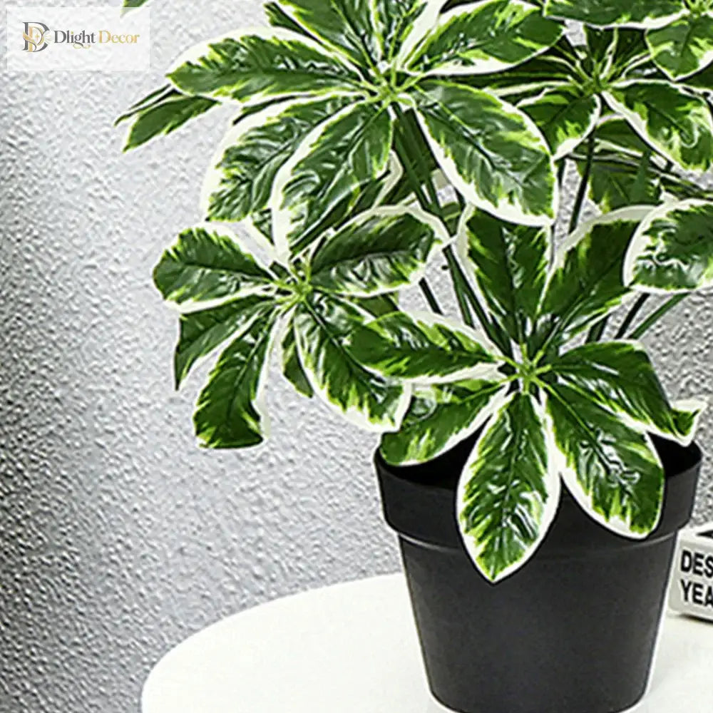 Dlight Decor 65 to 75cm Tropical Monstera Plant with Turtle Leaves