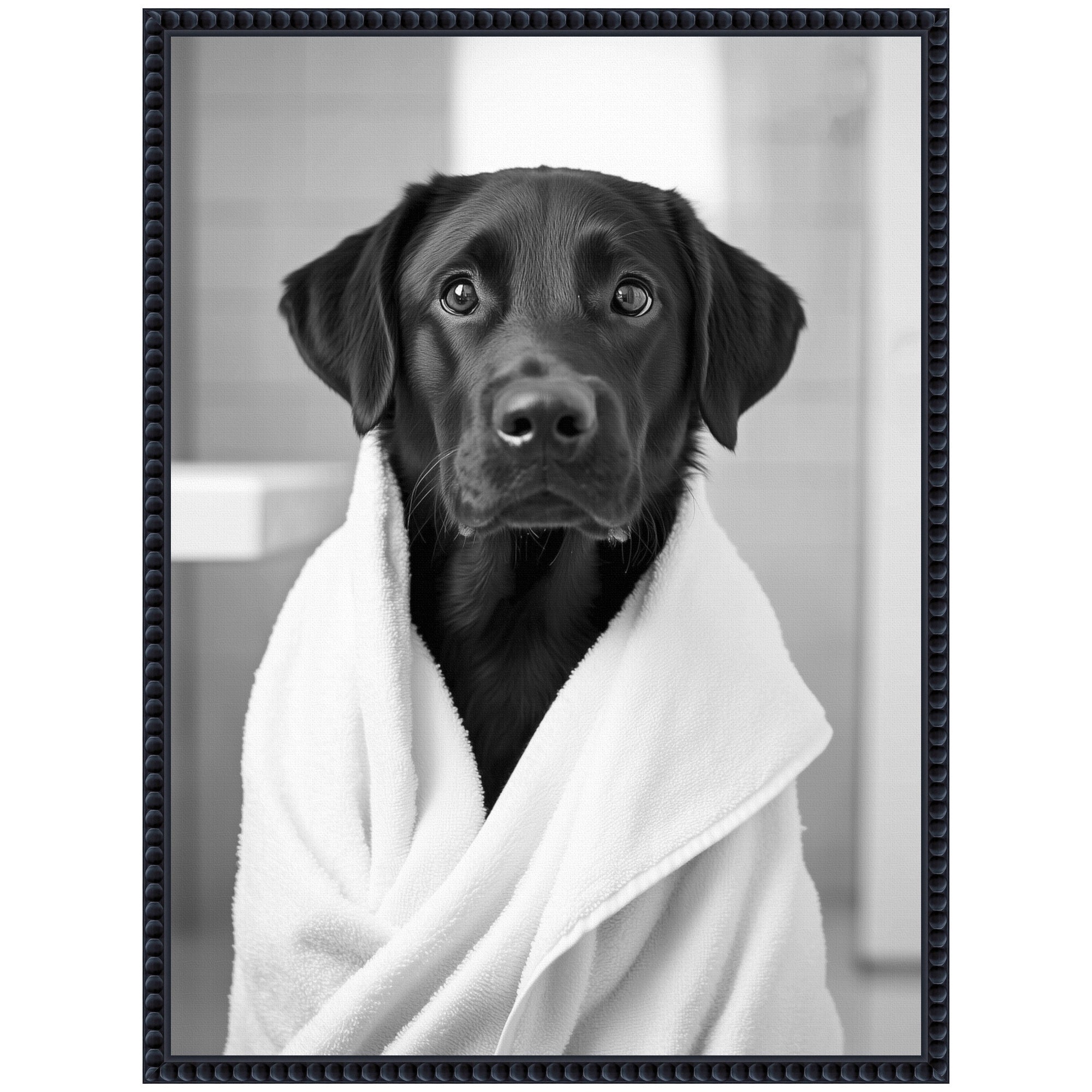 Sylvie Black Lab Bathroom Art Towel Robe Black and White Framed Canvas by The Creative Bunch Studio