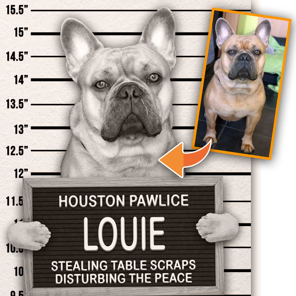 Dog Mugshot Custom Pet Mugshot of your Dog, Cat or Pet