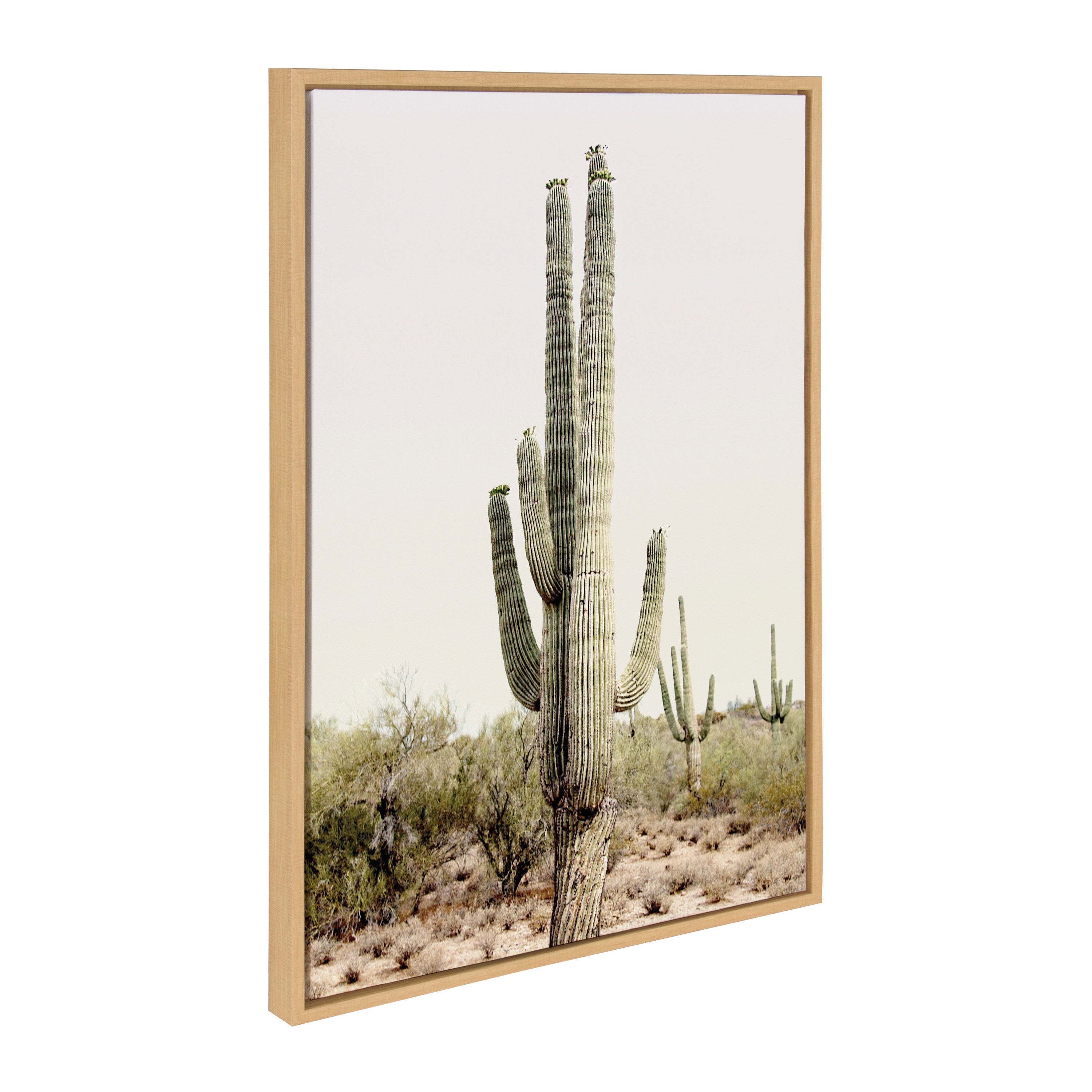 Sylvie Sunrise Cactus, Pink Cactus Flower and Cactus 25 Framed Canvas by Amy Peterson Art Studio