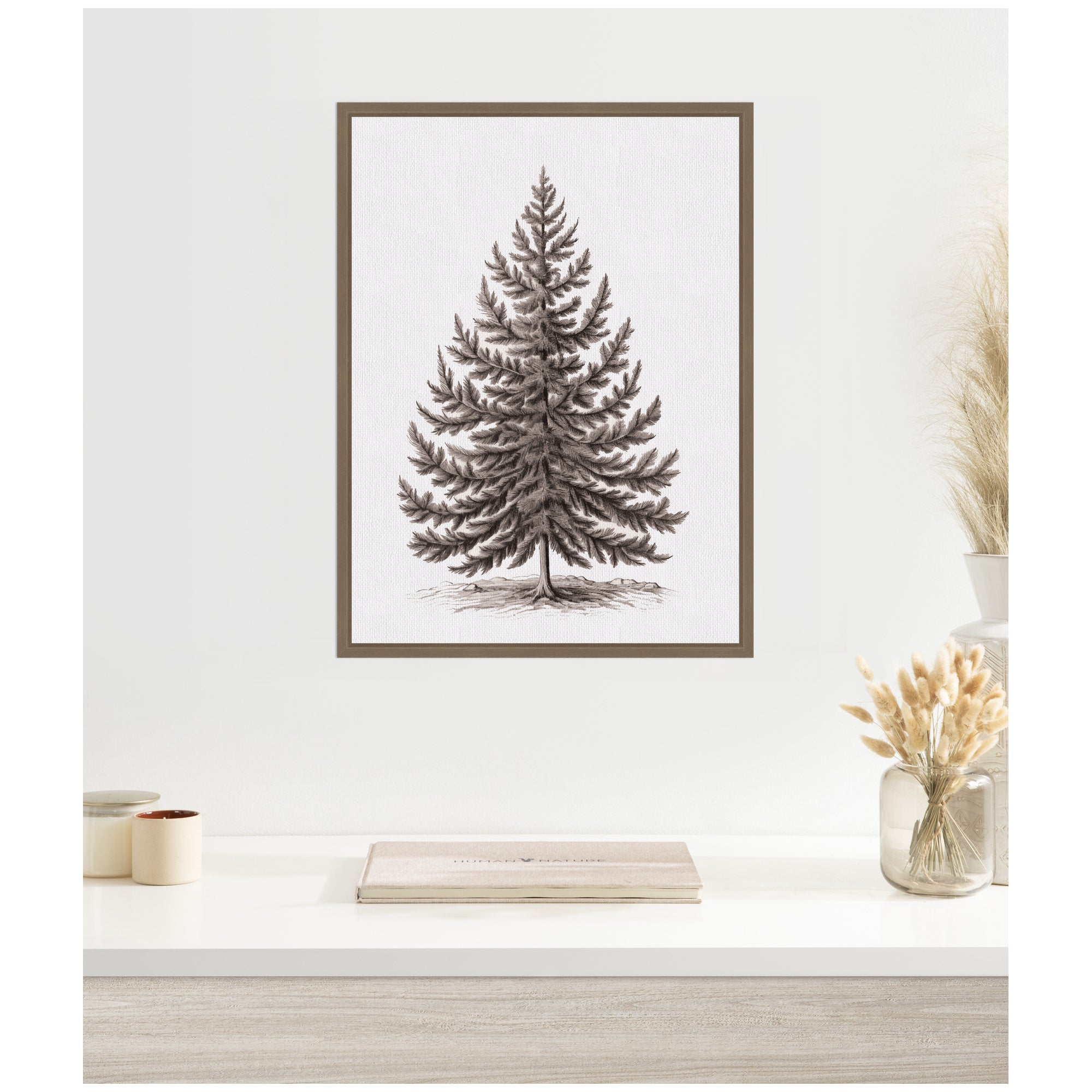Sylvie Framed Canvas Vintage Evergreen Fir Tree lllustration I by The Creative Bunch Studio