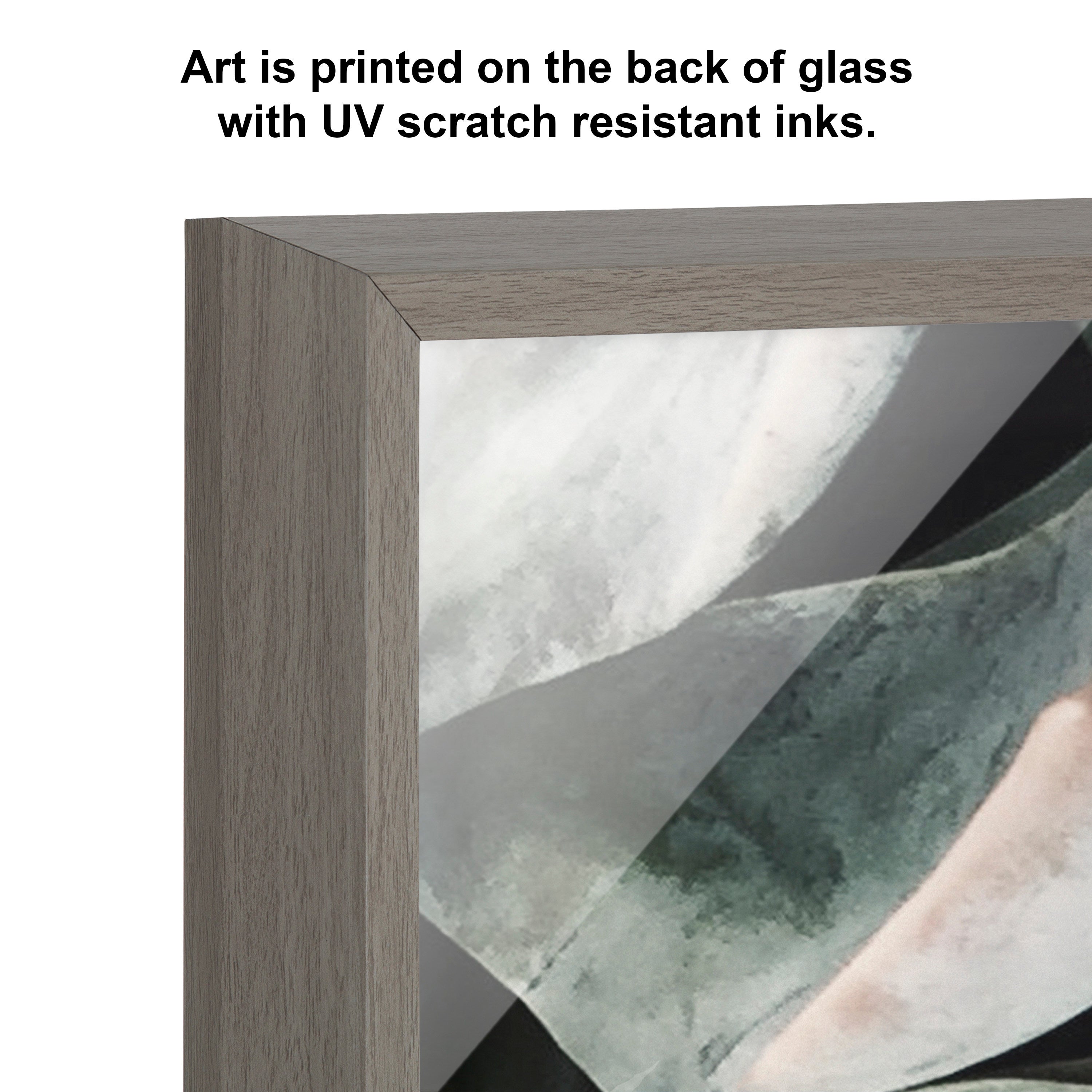 Blake Botanical Succulent Plants 2 Framed Printed Glass by The Creative Bunch Studio