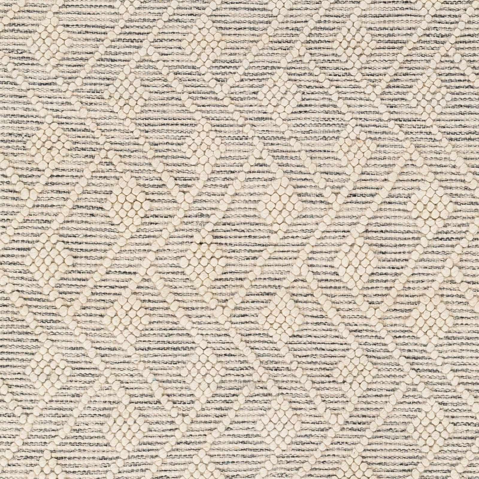 Erica Area Rug - Clearance - PRHOMZ