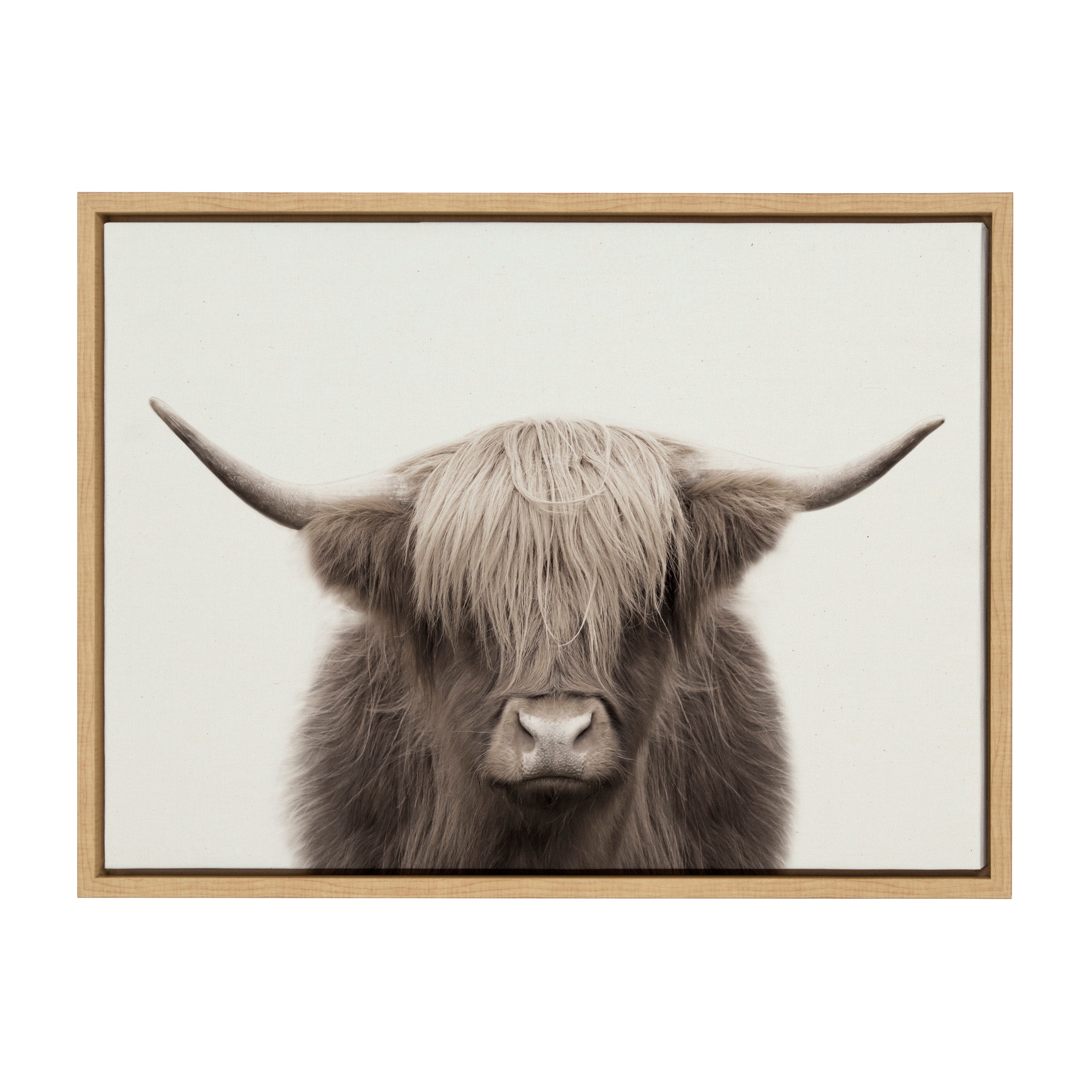 Sylvie Hey Dude Highland Cow Color Framed Canvas by The Creative Bunch Studio