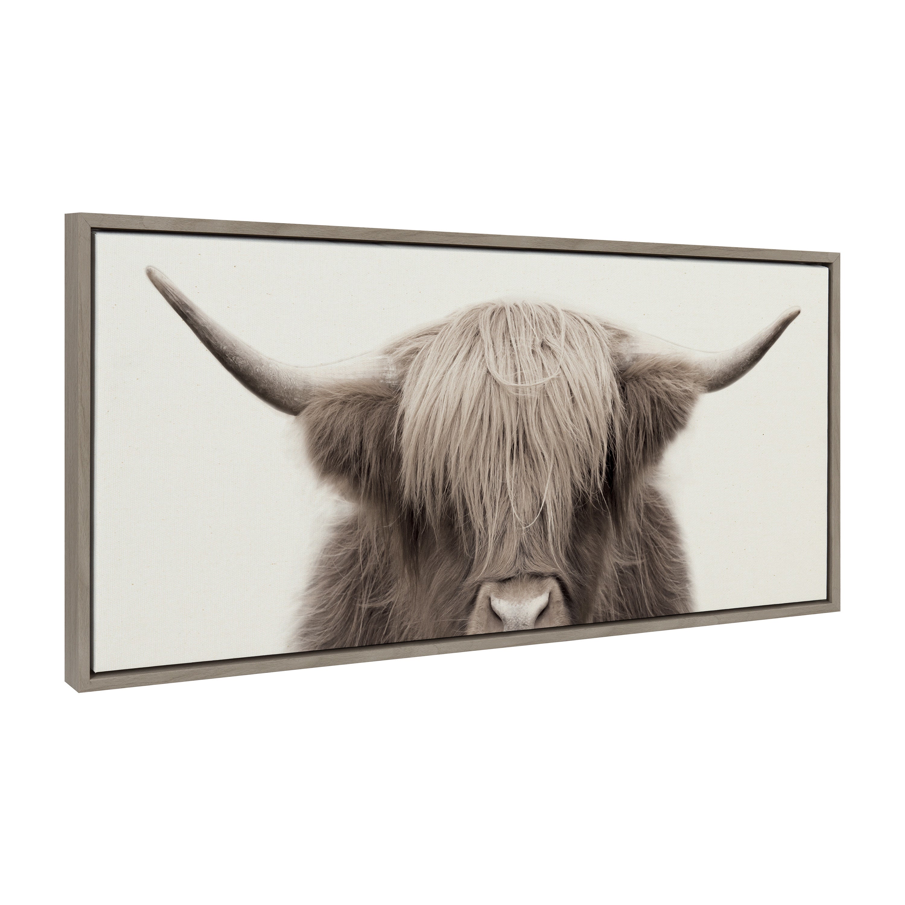 Sylvie Hey Dude Highland Cow Color Framed Canvas by The Creative Bunch Studio