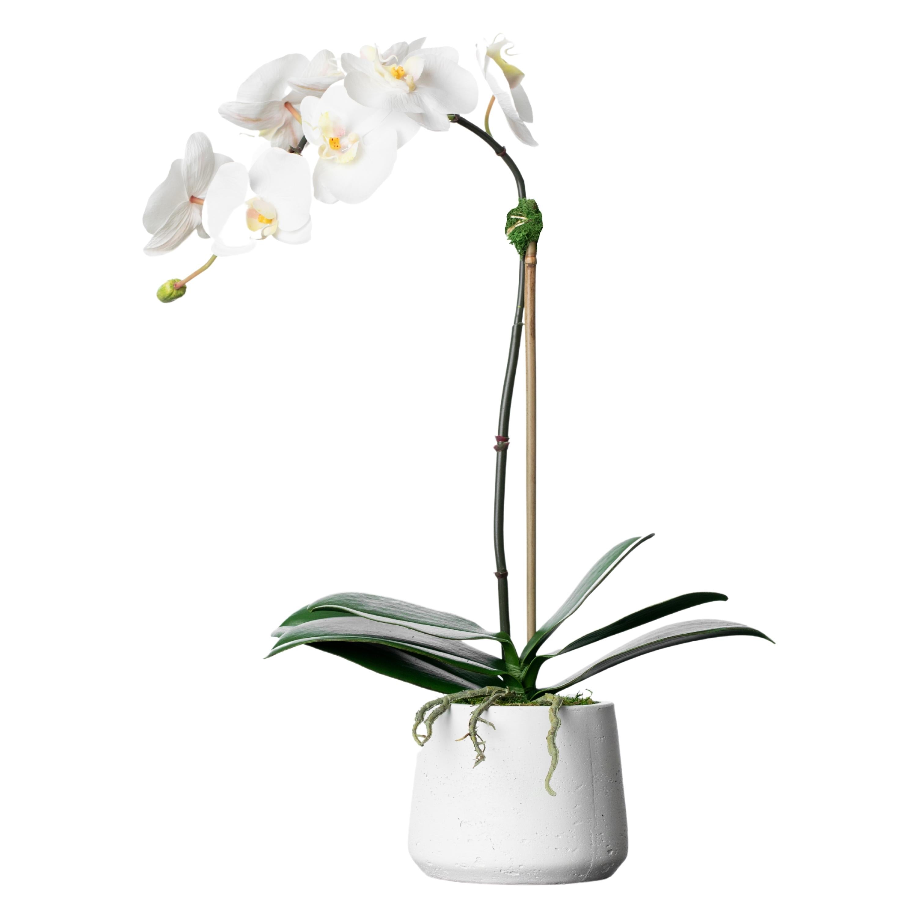 Artificial orchid plant - white orchid in white pot - 21"-1
