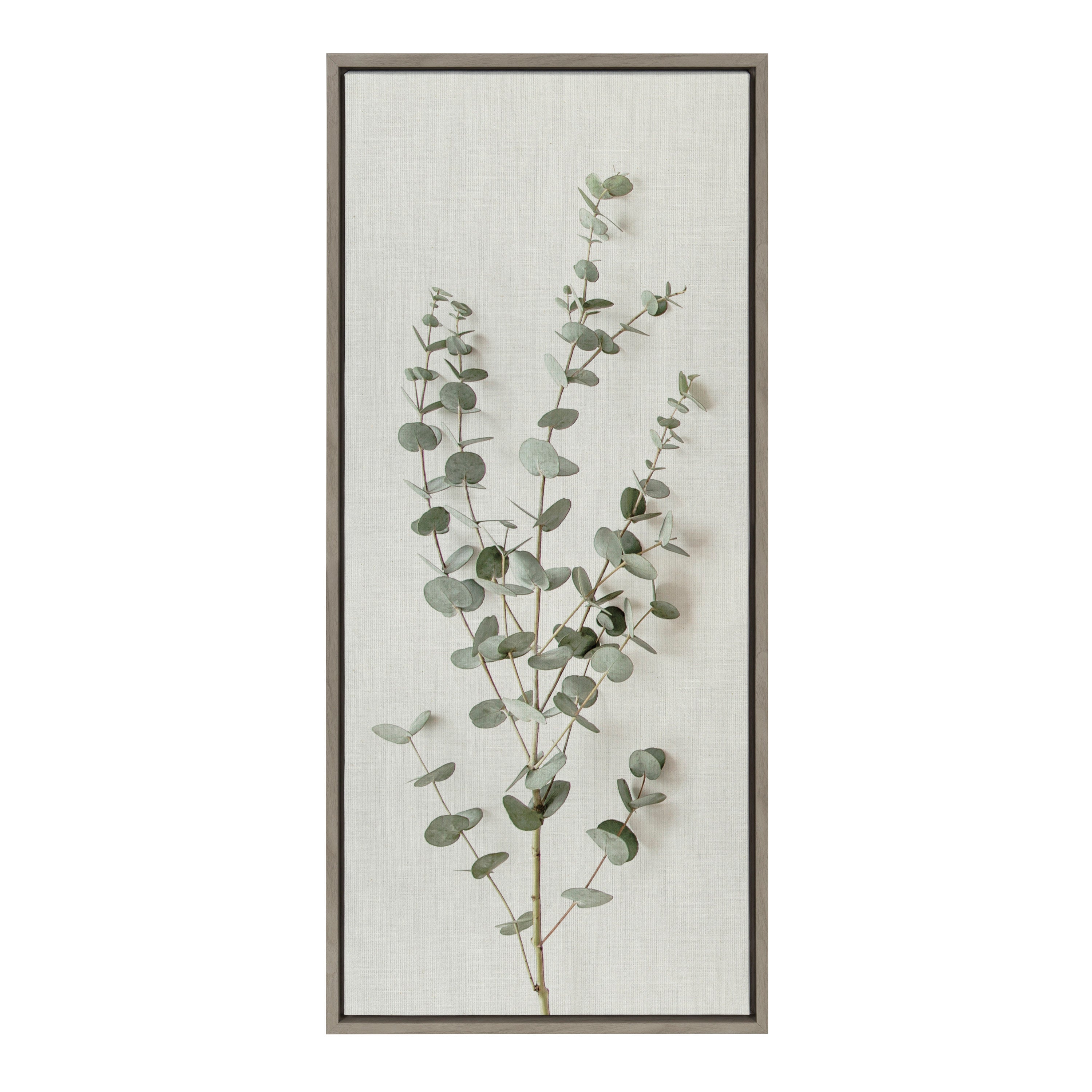 Sylvie Eucalyptus Botanical I Framed Canvas by The Creative Bunch Studio