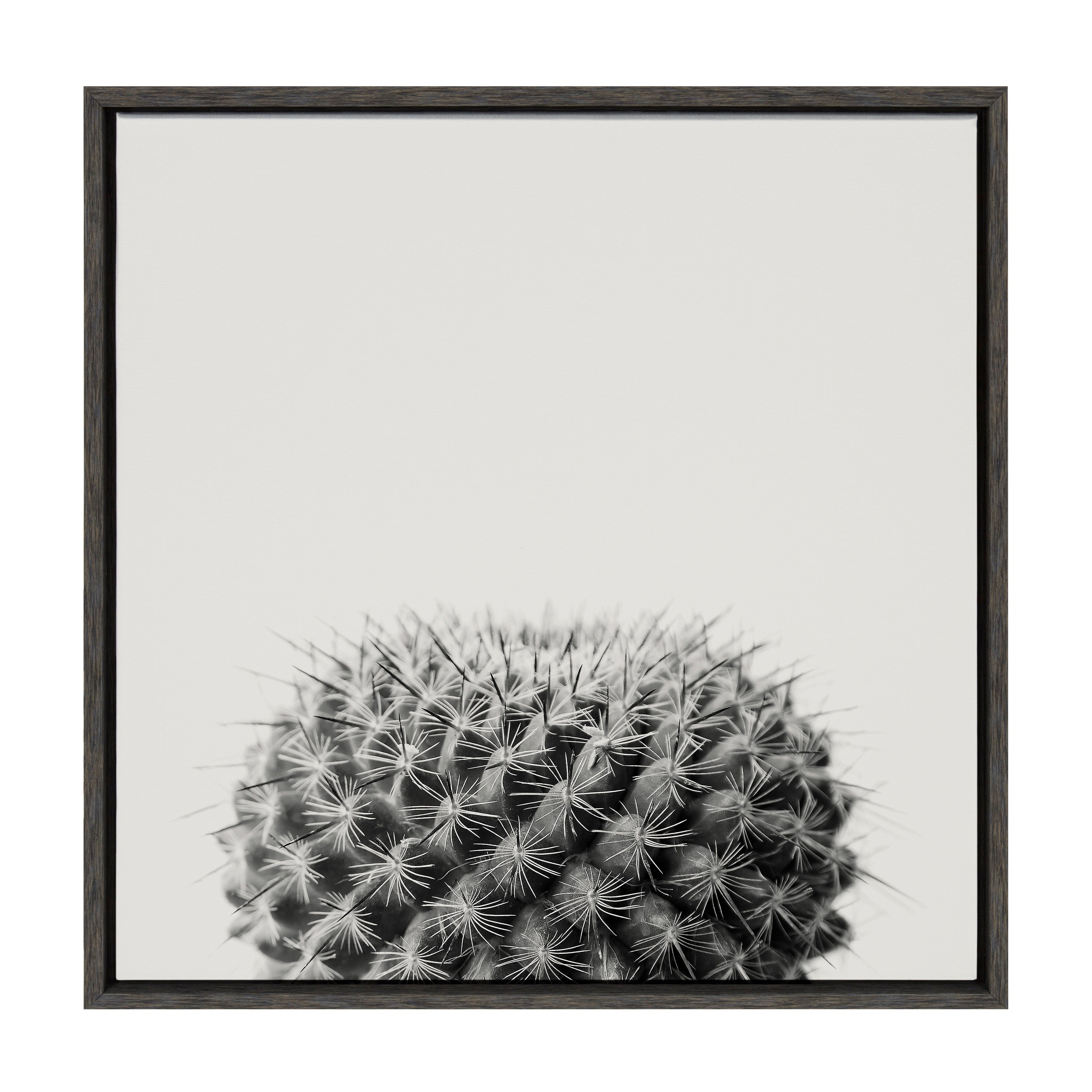 Sylvie Haze Succulent Cactus Short Framed Canvas by The Creative Bunch Studio