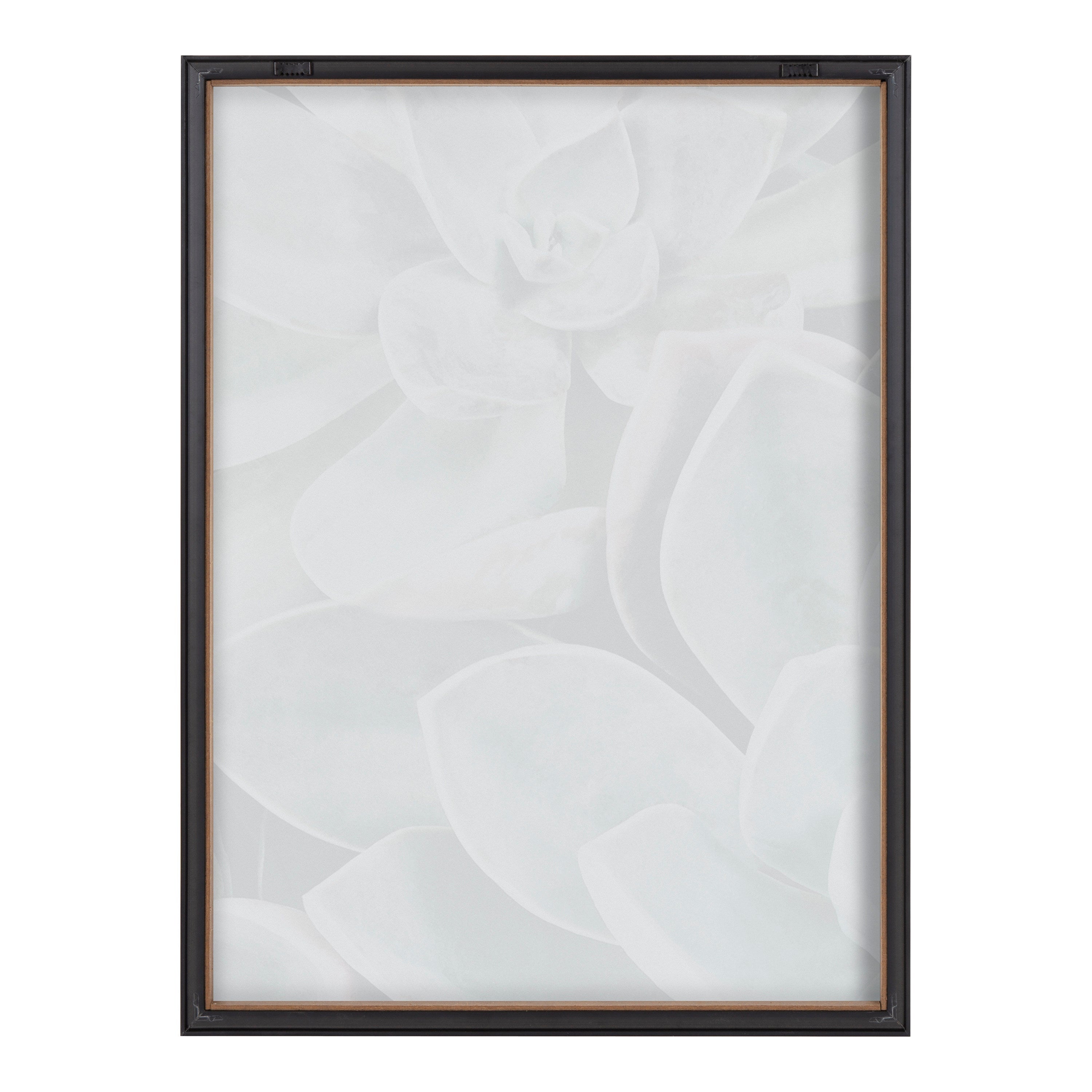 Blake Botanical Succulent Plants 1 Framed Printed Glass by The Creative Bunch Studio