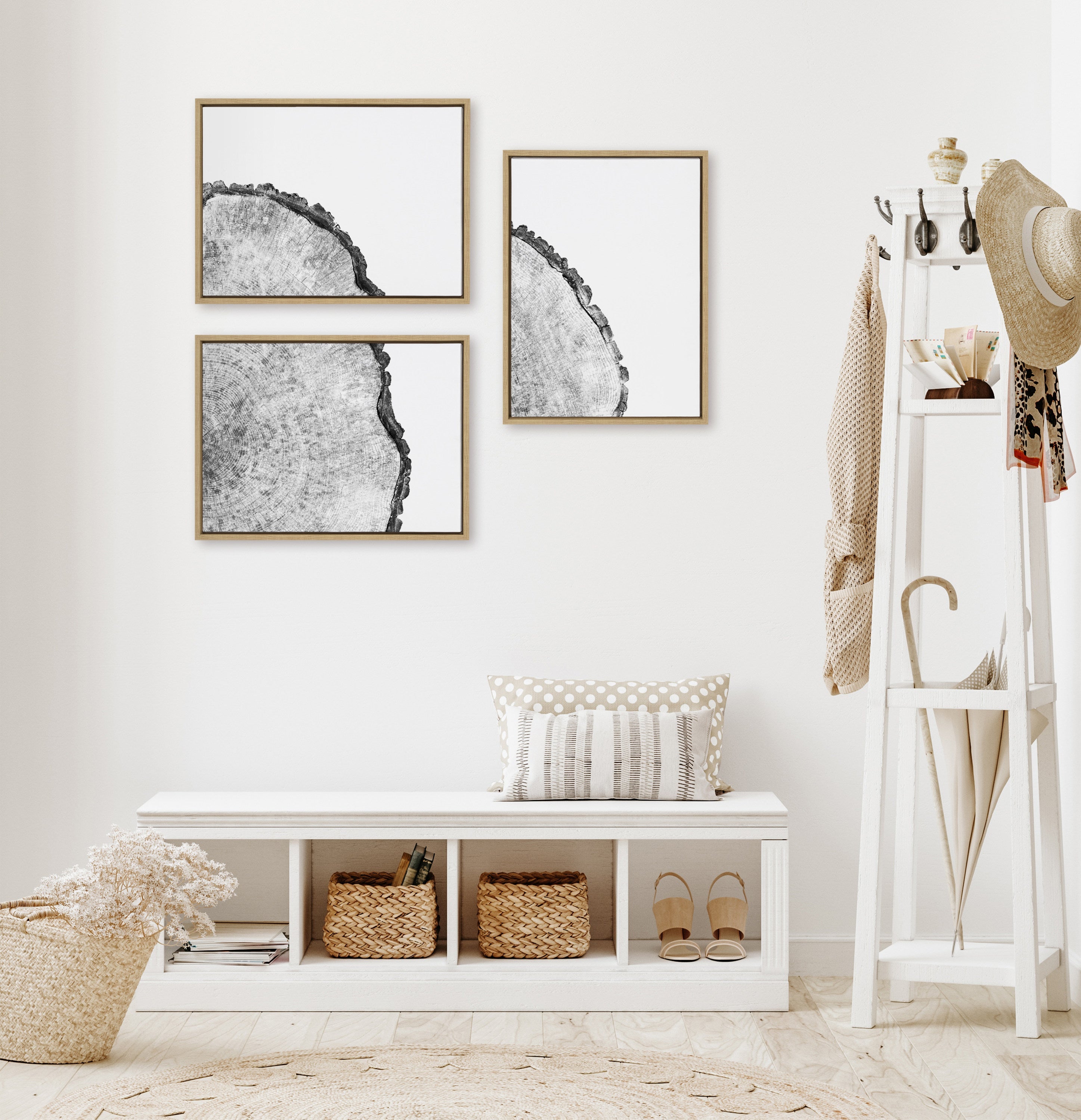 Sylvie Tree Rings Set Framed Canvas by Emiko and Mark Franzen of F2Images