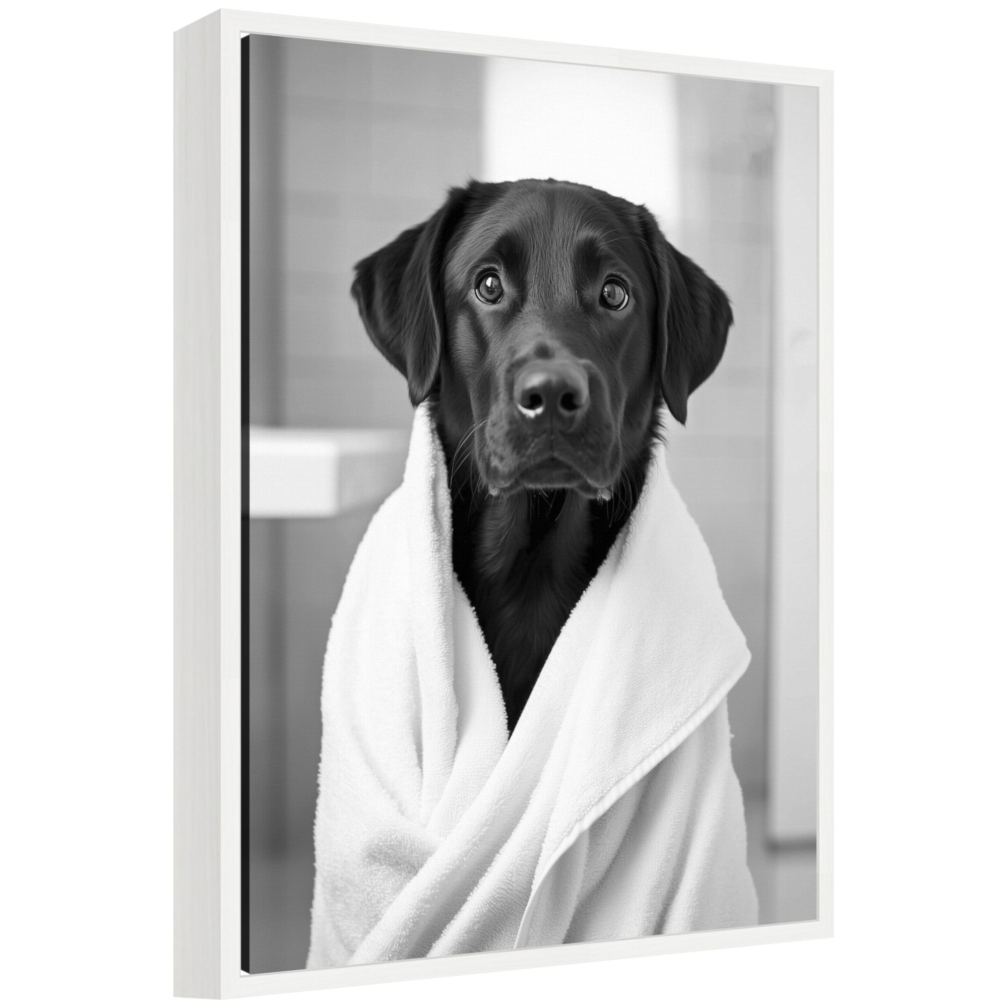 Sylvie Black Lab Bathroom Art Towel Robe Black and White Framed Canvas by The Creative Bunch Studio