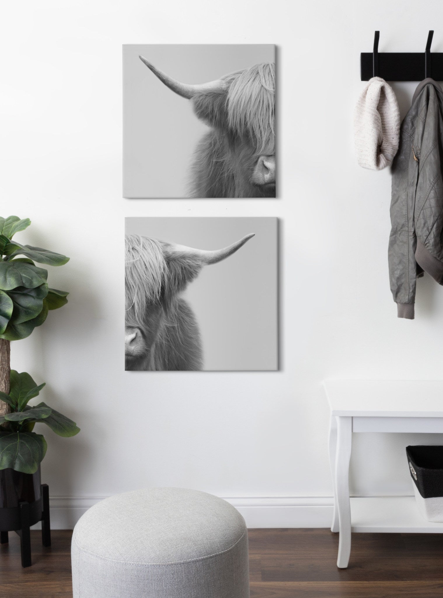 Hey Dude Highland Cow Gray Canvas by The Creative Bunch Studio
