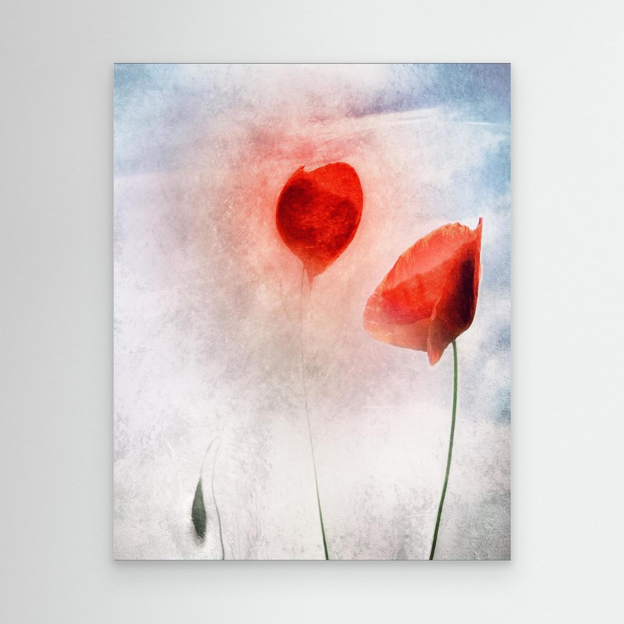 In Flanders Fields by Gilbert Claes