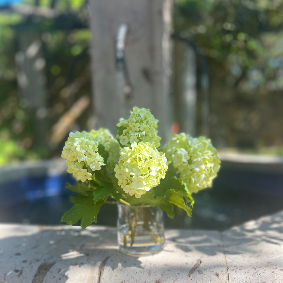 Real touch green hydrangea arrangement in glass vase - 8"