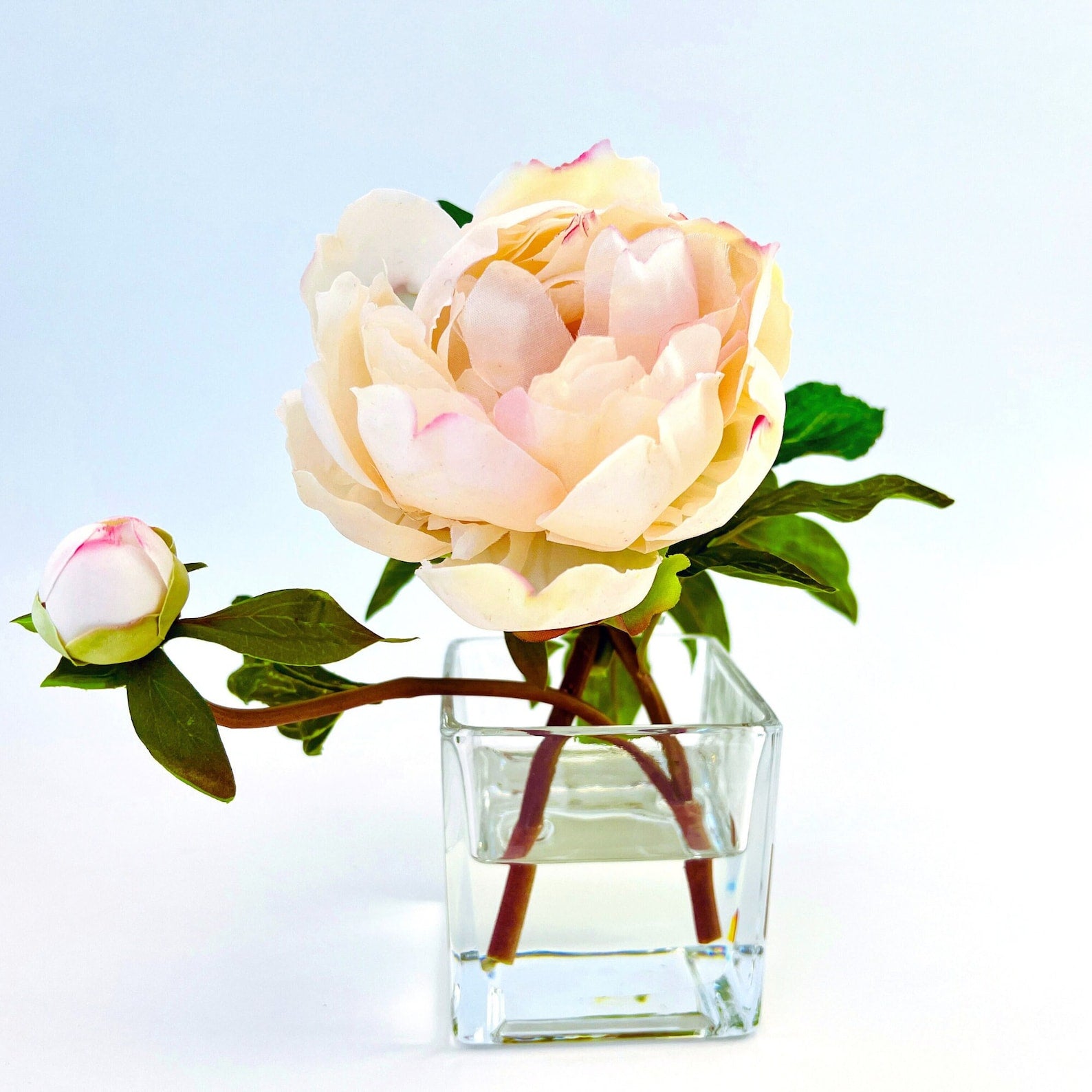 Peony Flower Arrangement in Glass Vase - 10"-3