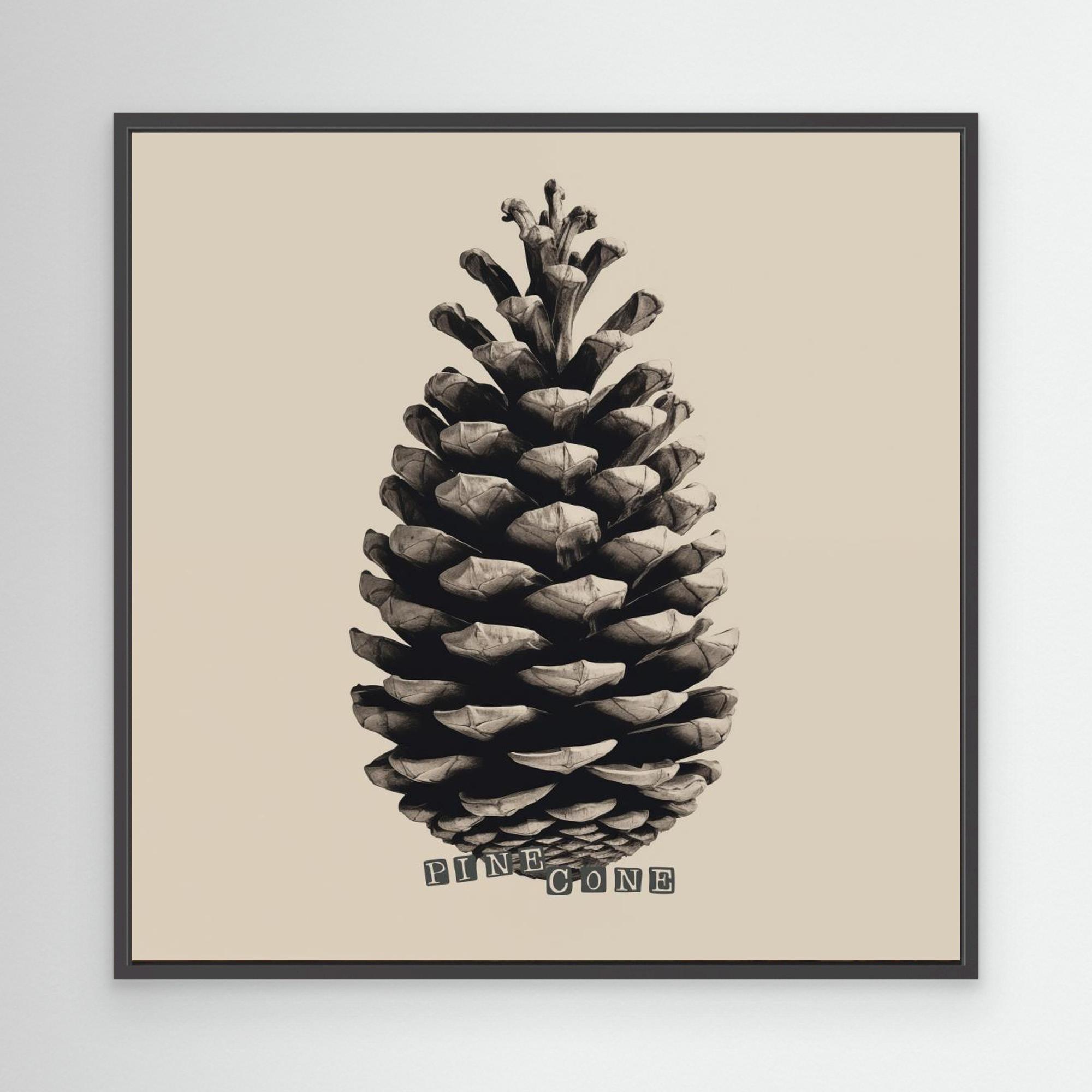 Pine Cone by Andreas Magnusson