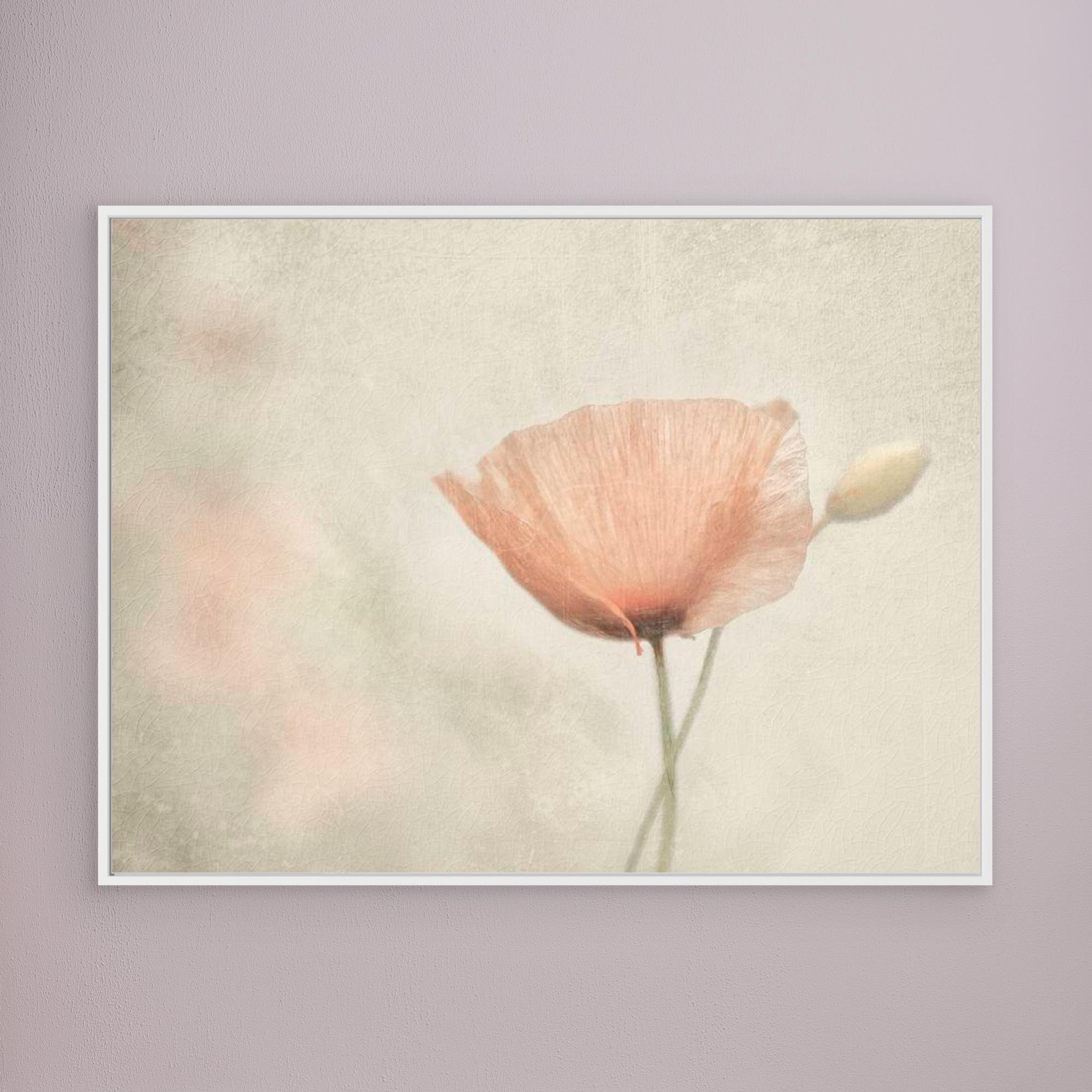 jewel of nature by Gilbert Claes