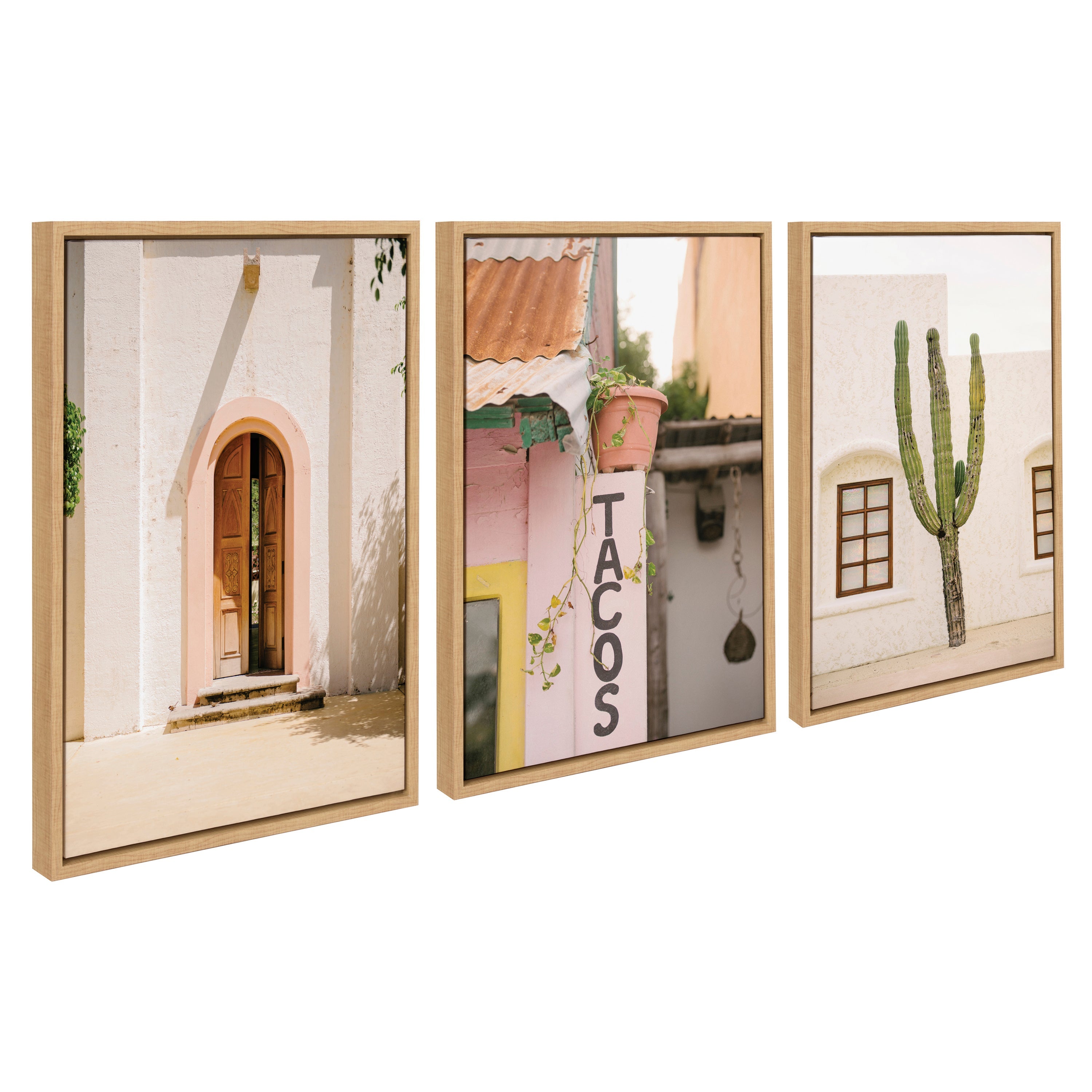 Sylvie Cabo San Lucas No 4, Isla Holbox No 3, Cactus no 2 Mexico Framed Canvas Art Set by Crystal Lynn Collins