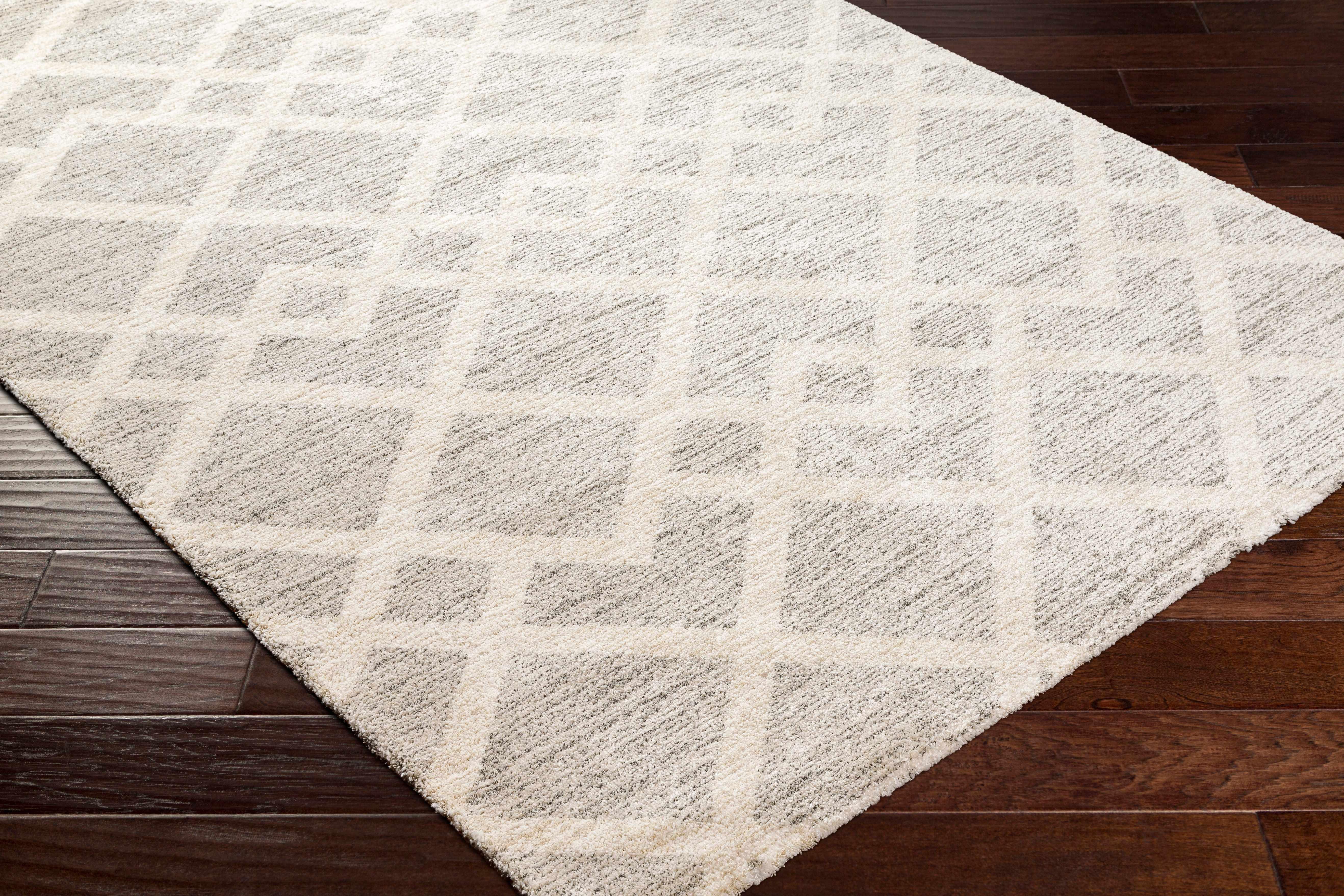 Joed Area Rug - PRHOMZ