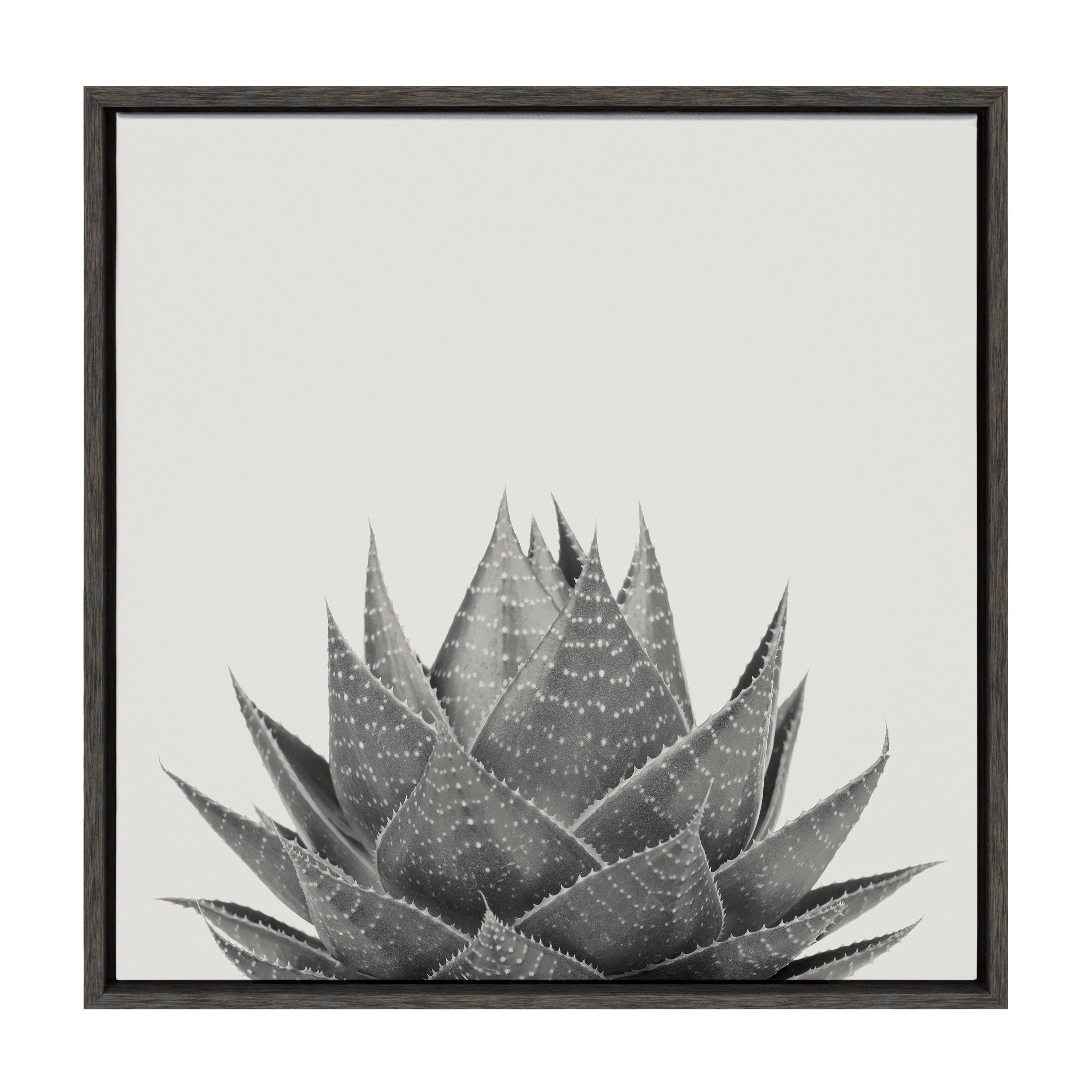 Sylvie Haze Aloe Succulent Framed Canvas by The Creative Bunch Studio