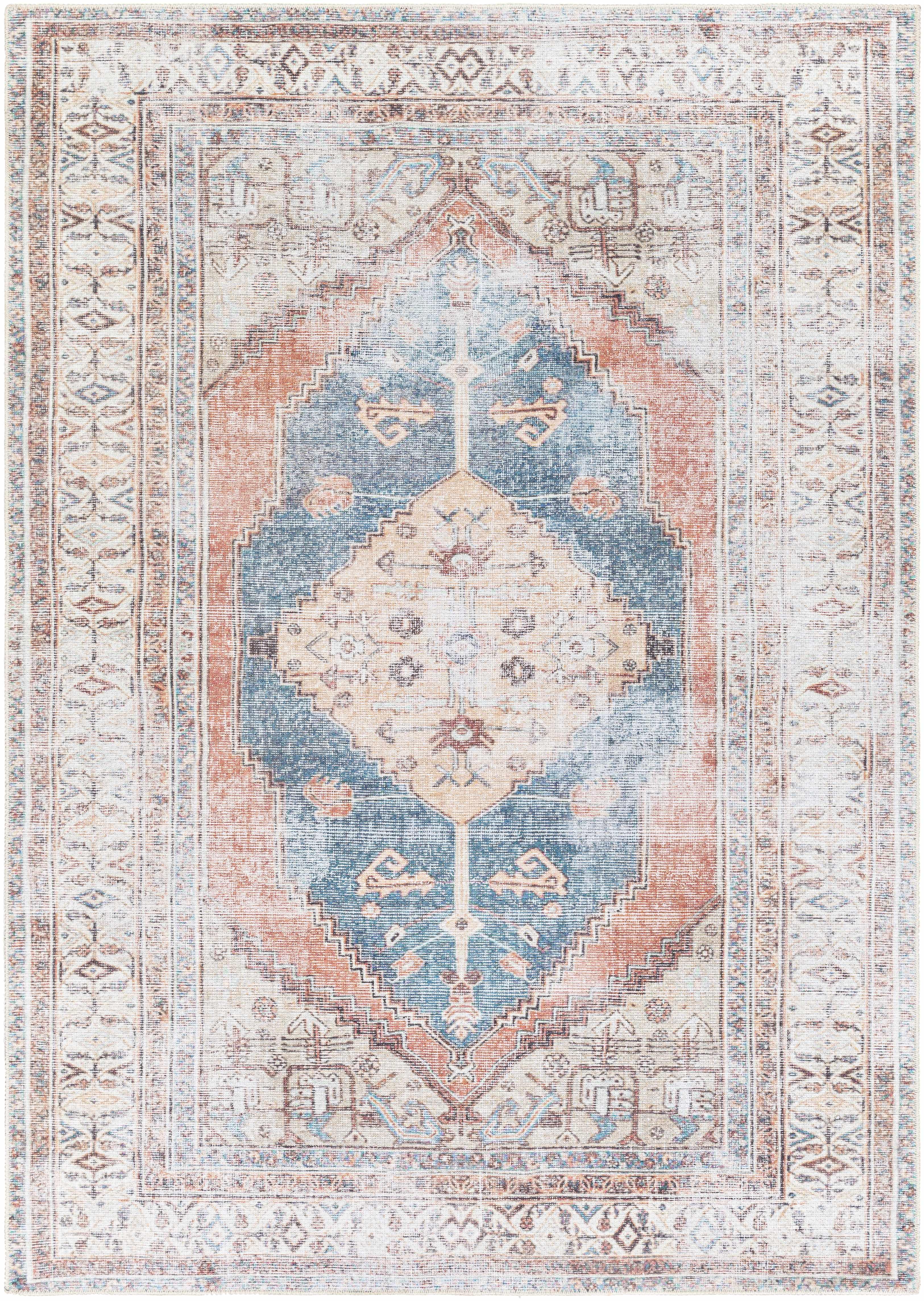 Lake Washable Area Rug - Clearance - PRHOMZ