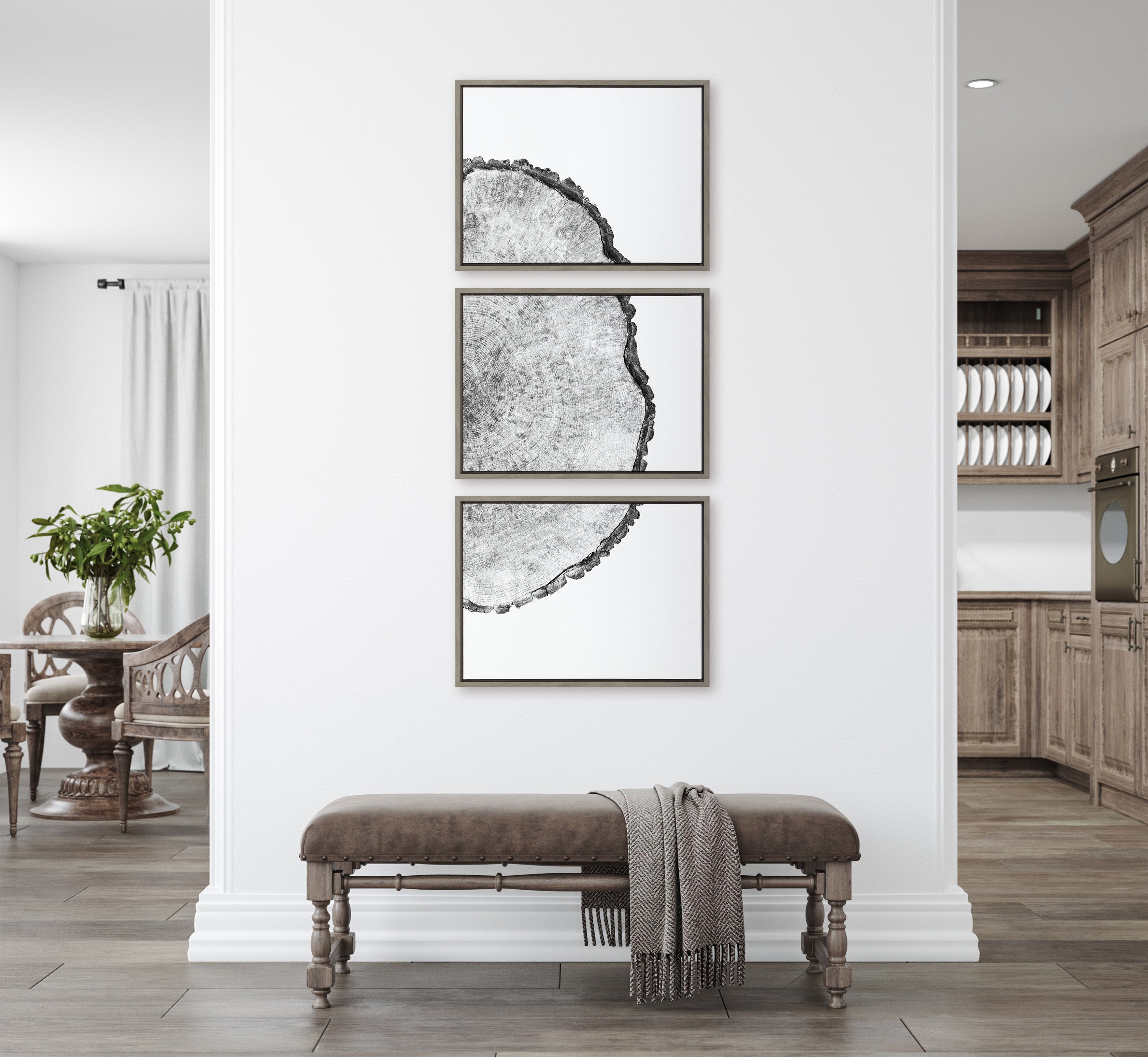 Sylvie Tree Rings Set Framed Canvas by Emiko and Mark Franzen of F2Images